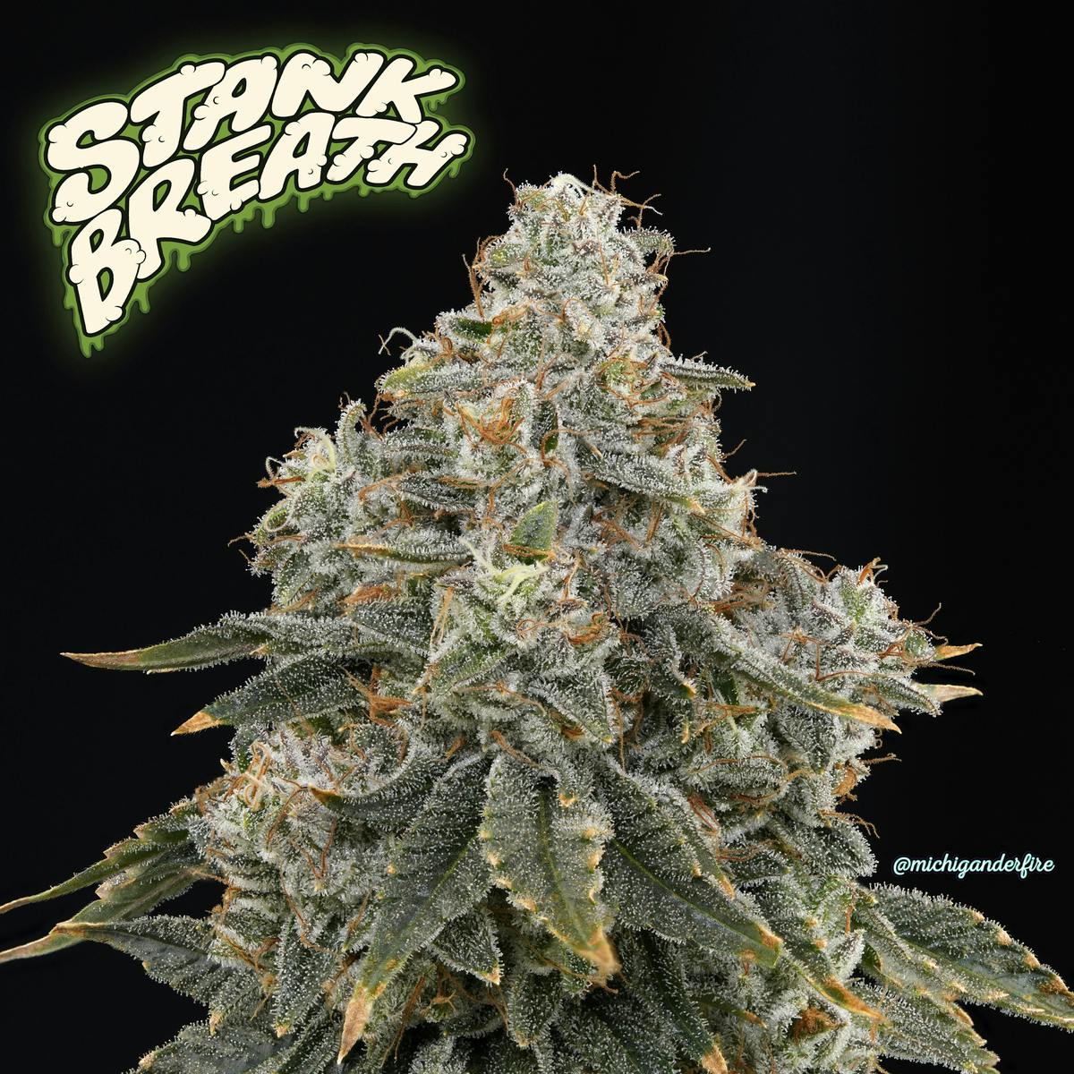 Michigander Fire - Stank Breath - image 3