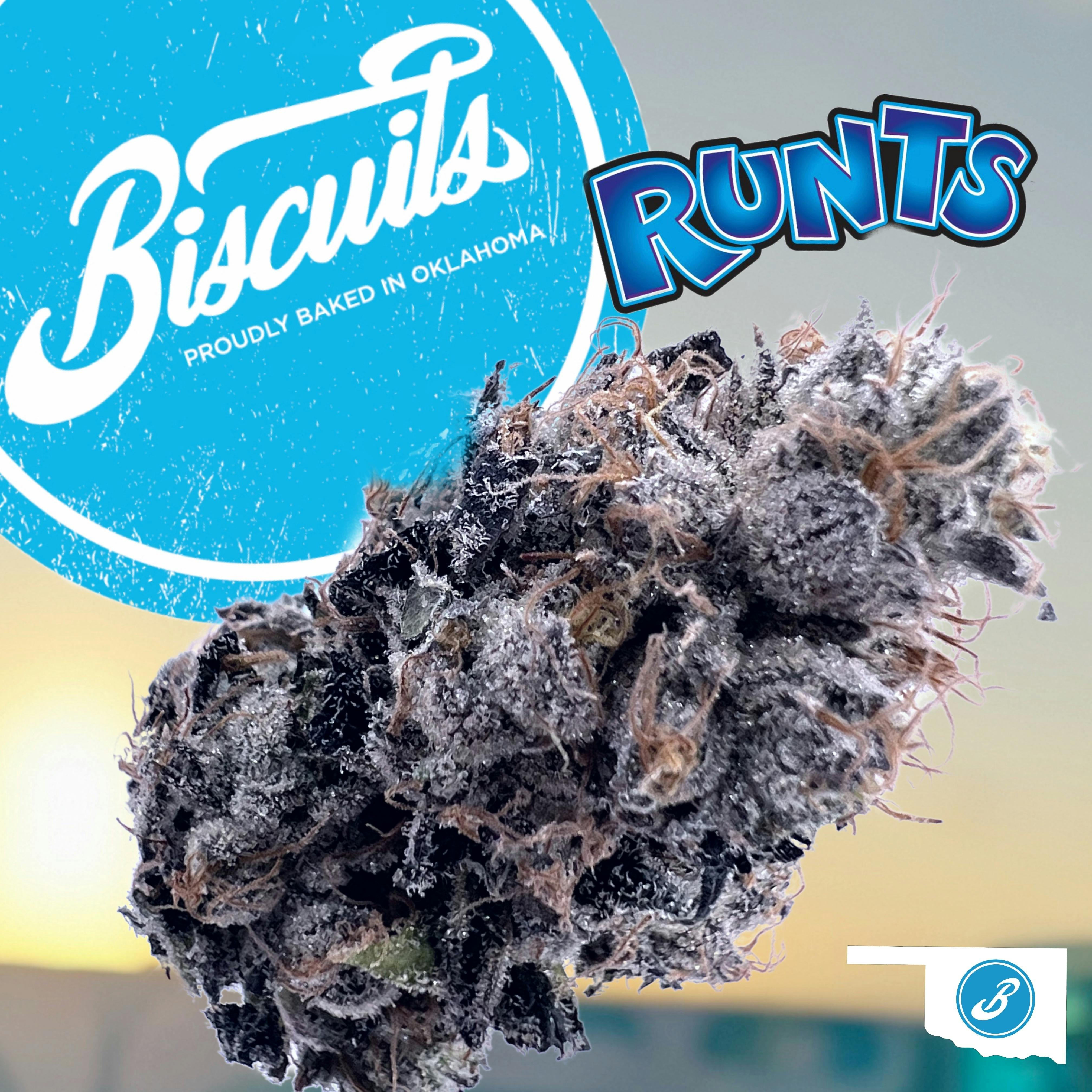 Runtz - Flower - image 1