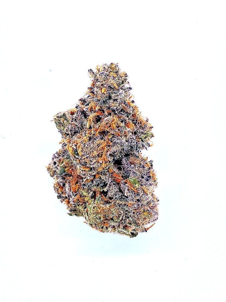 Stankasaurus Flower - image 1