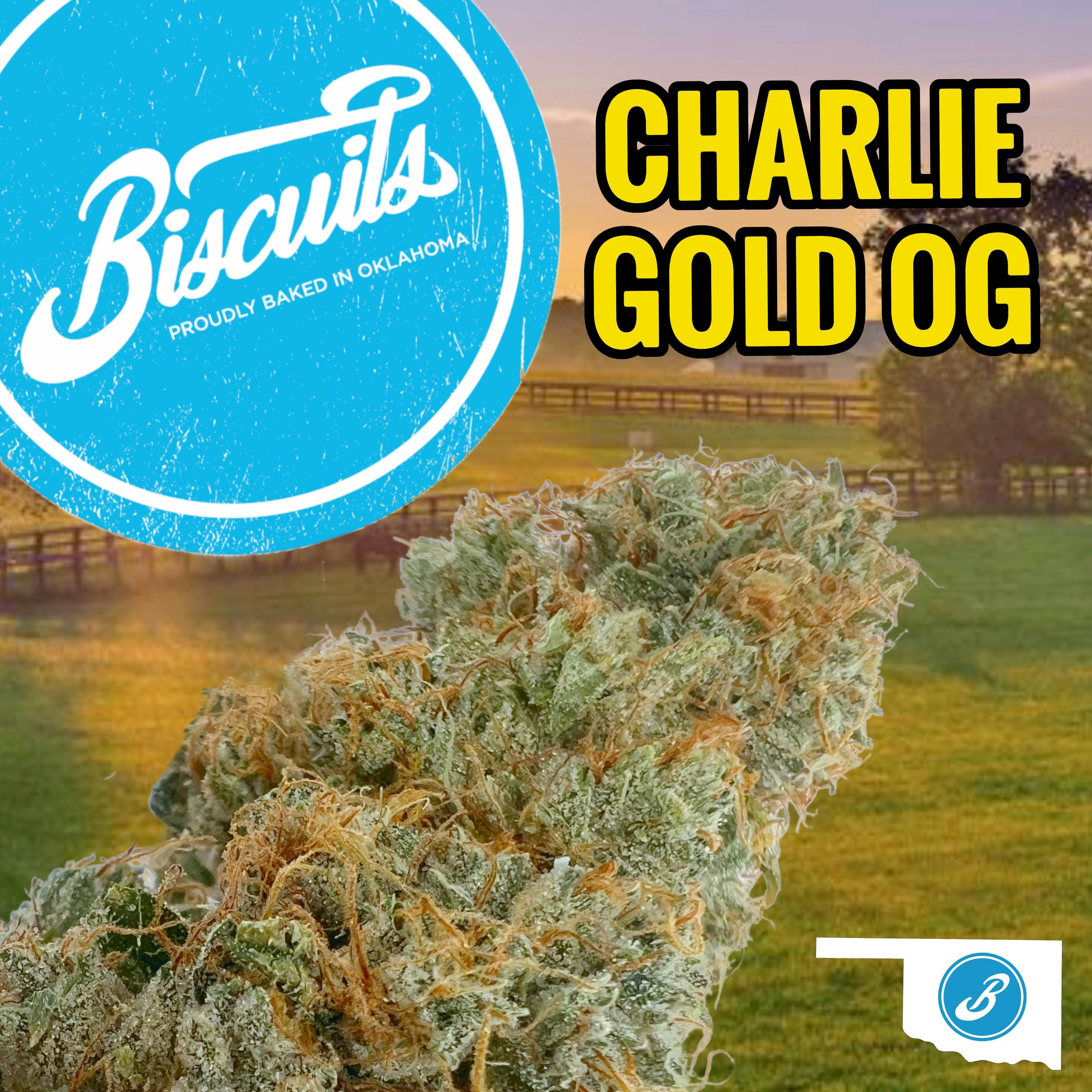 Platinum OG - Flower - image 1