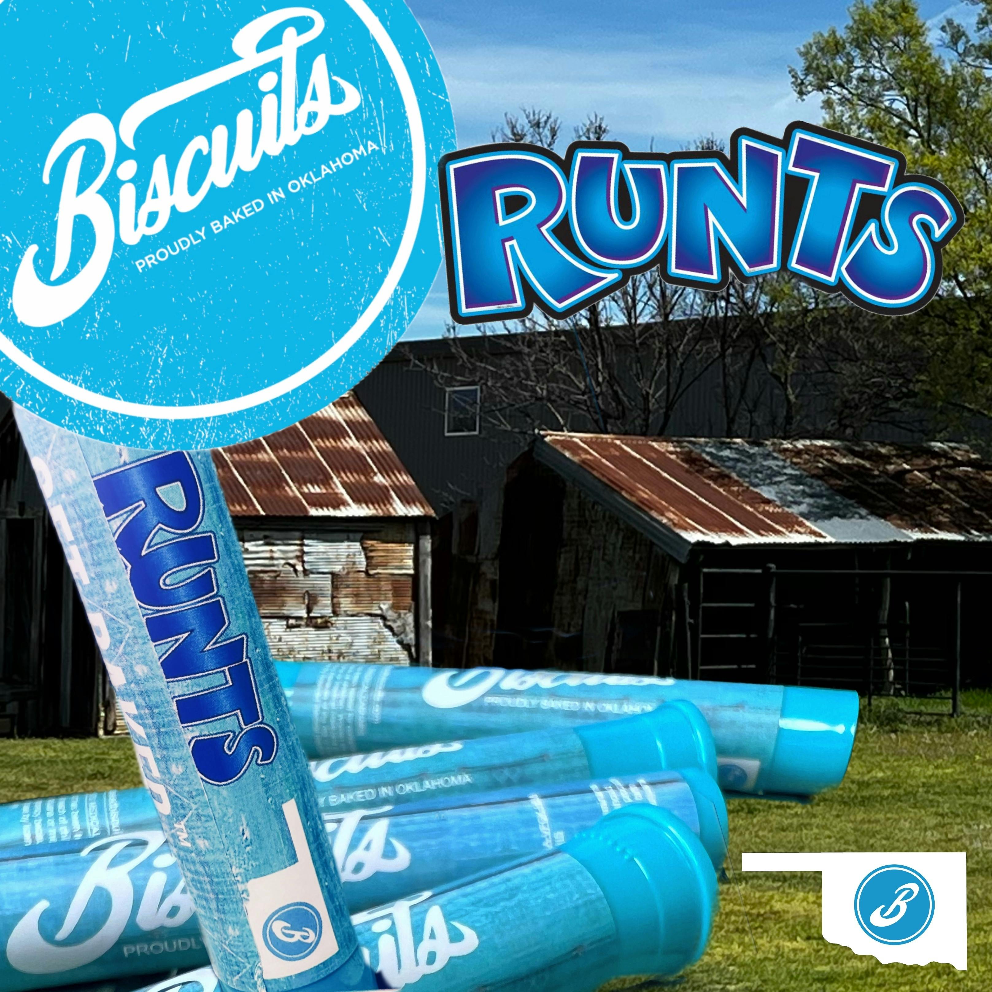 Runtz - Pre Roll | 1g - image 1