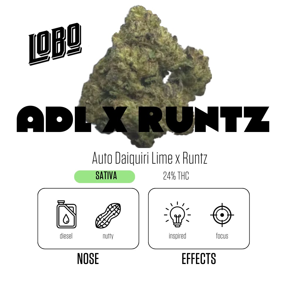 Bold Cannagar - ADL x Runtz - image 1