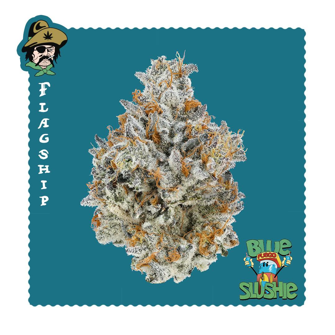 Blue Slushie -Flagship - image 1