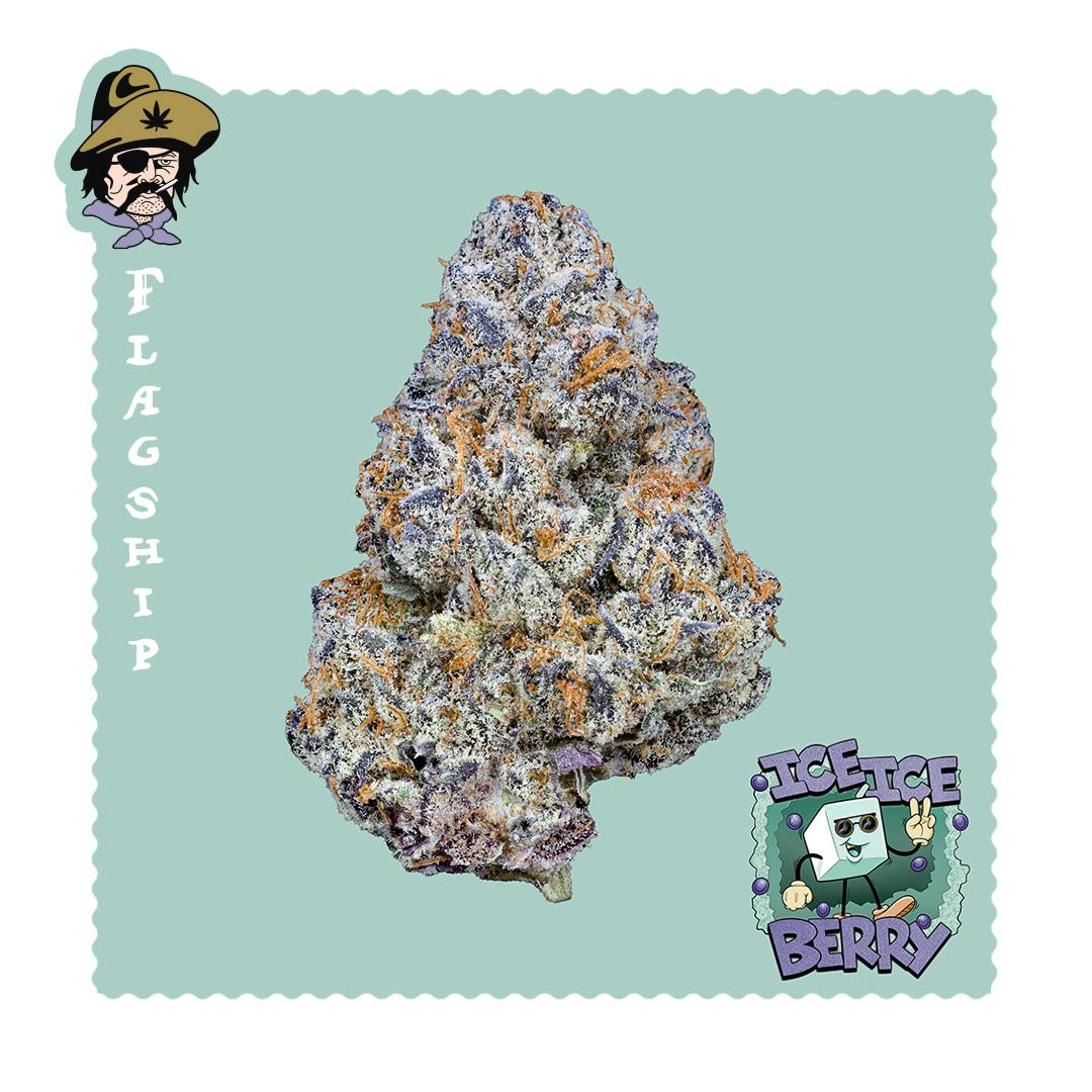 Ice Ice Berry - Flagship - image 1