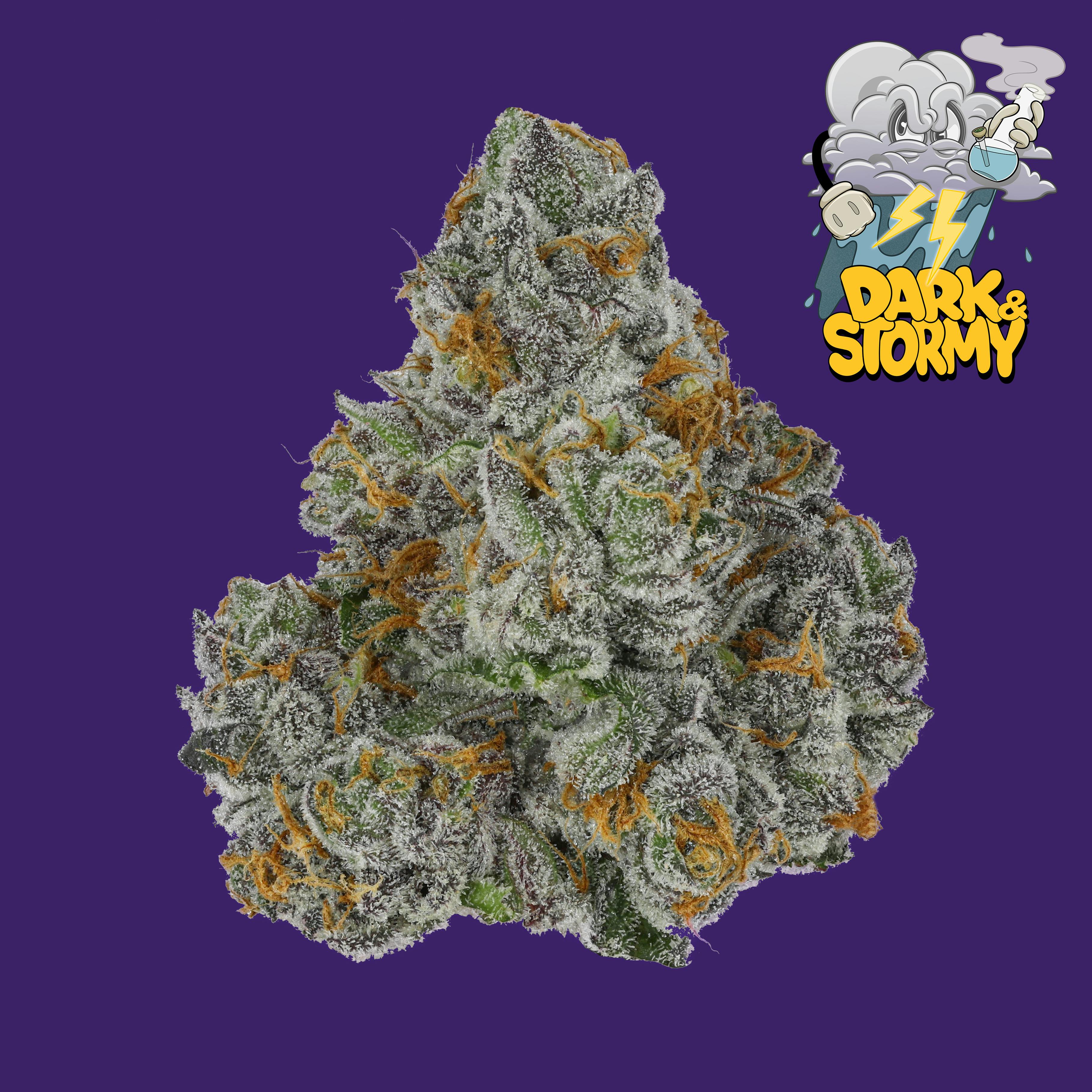 Dark & Stormy - Freddy's Finest - image 2