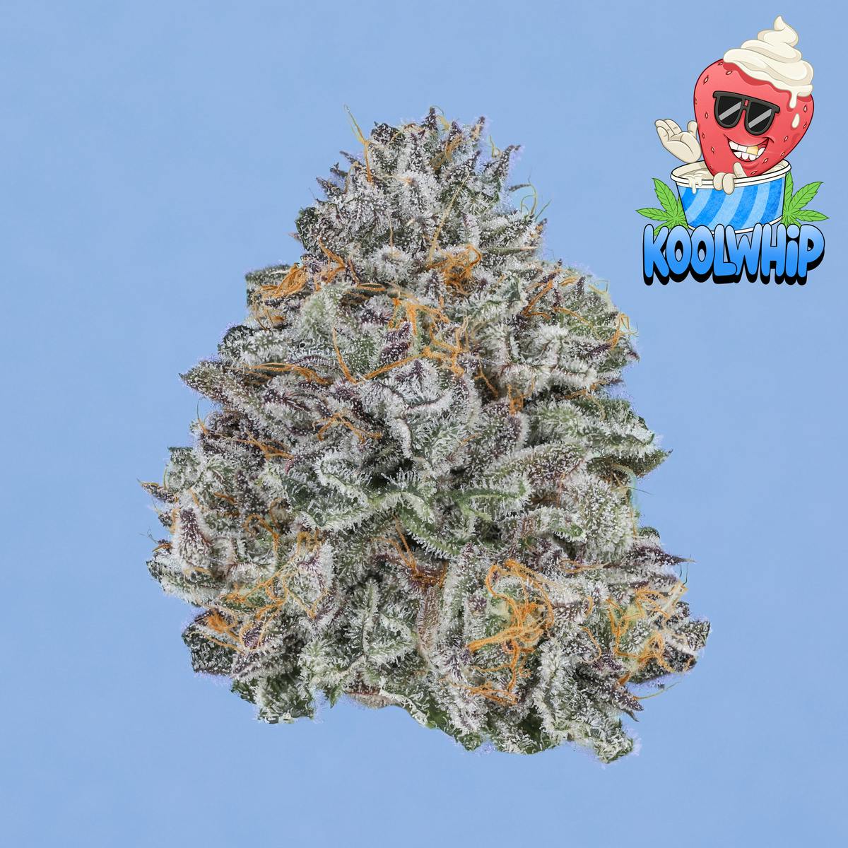 Kool Whip - Freddy's Finest - image 1