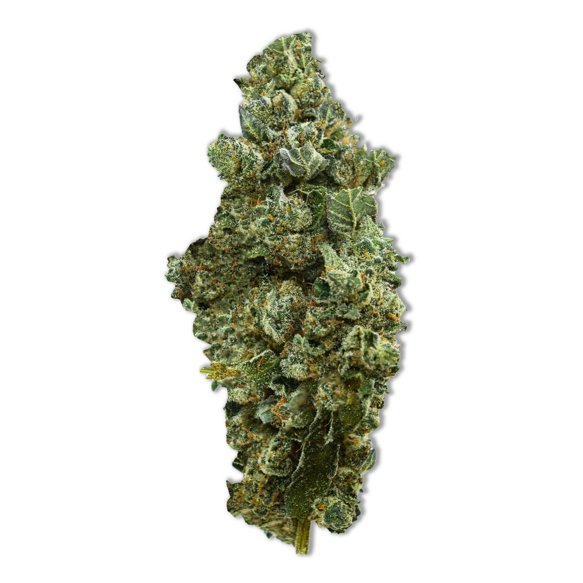 Common Citizen Electric Peanut Butter Cookies PrePackaged 3.5g - image 1