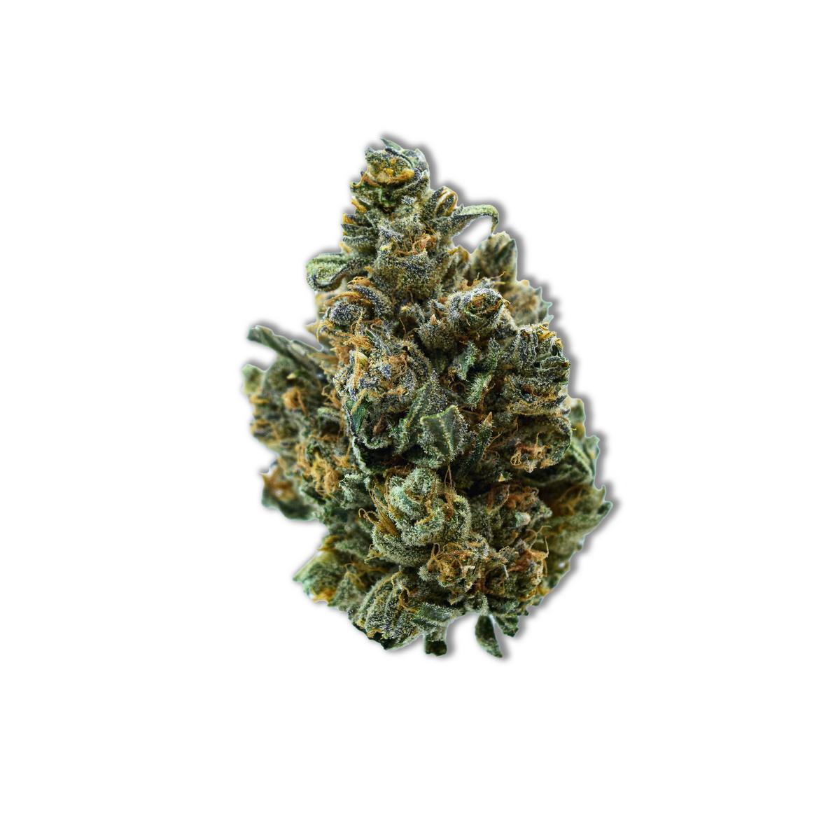 Common Citizen Gelato Cookies PrePackaged 3.5g - image 1