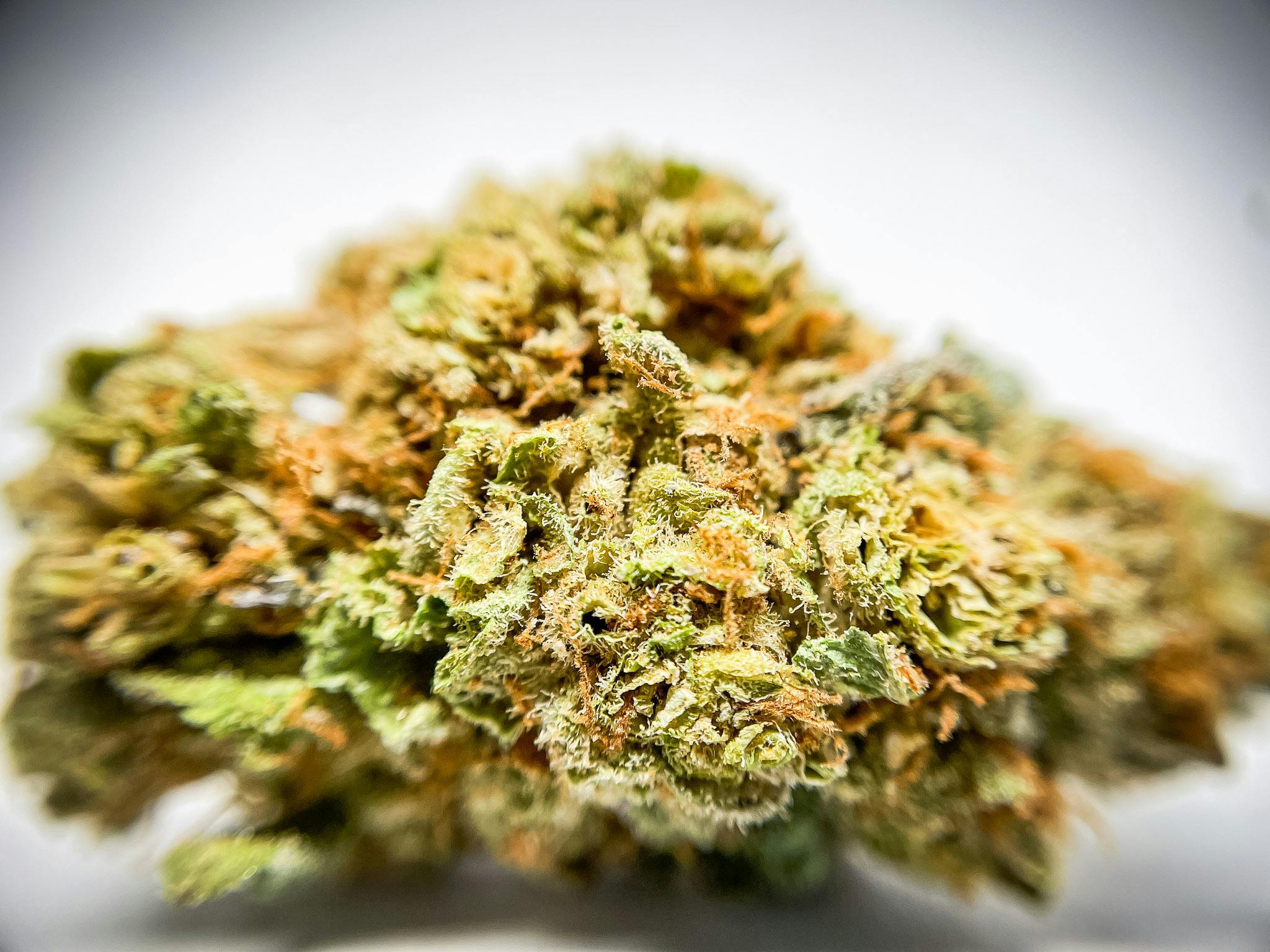 3.5G Rotten Rozay - image 1