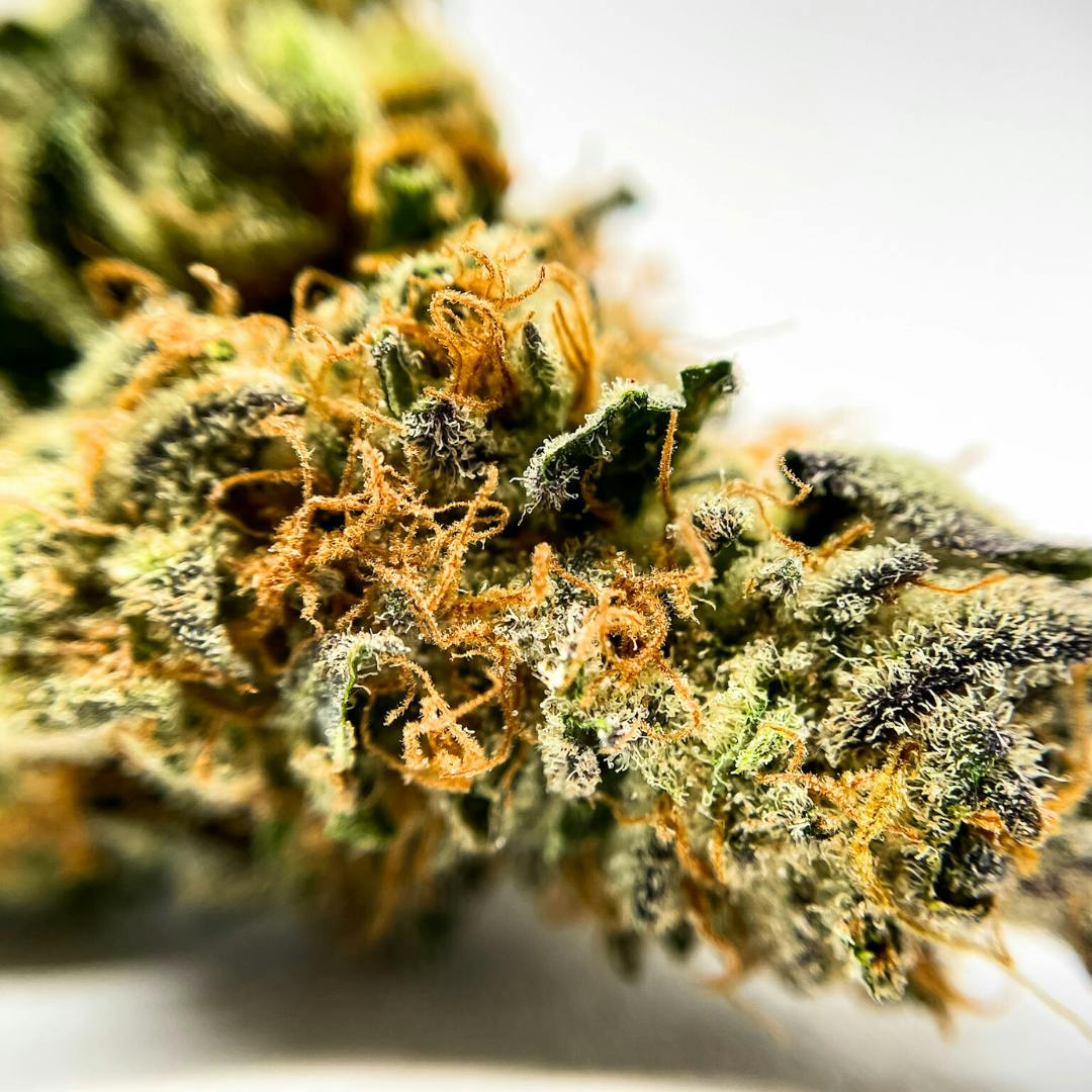 Tropicanna Banana 28G - image 1