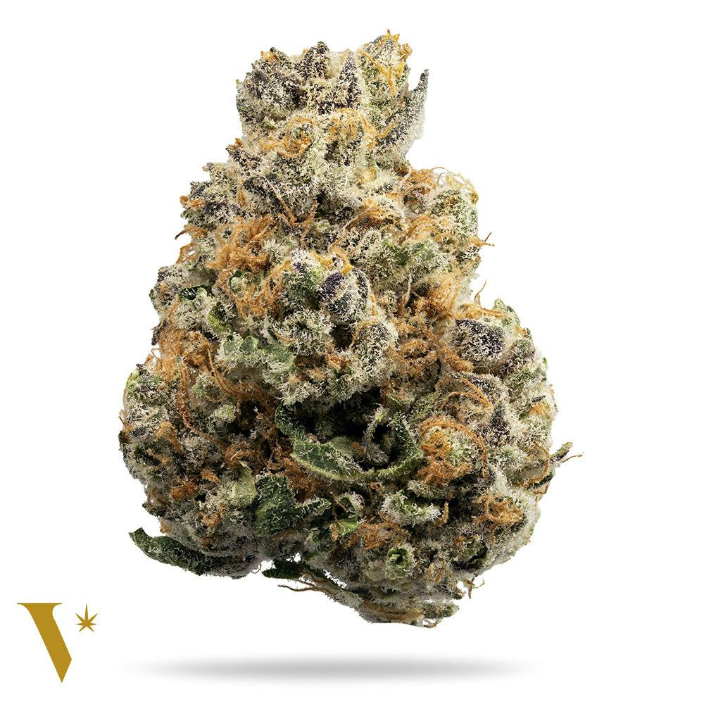 Shock Tart [10g] - image 1
