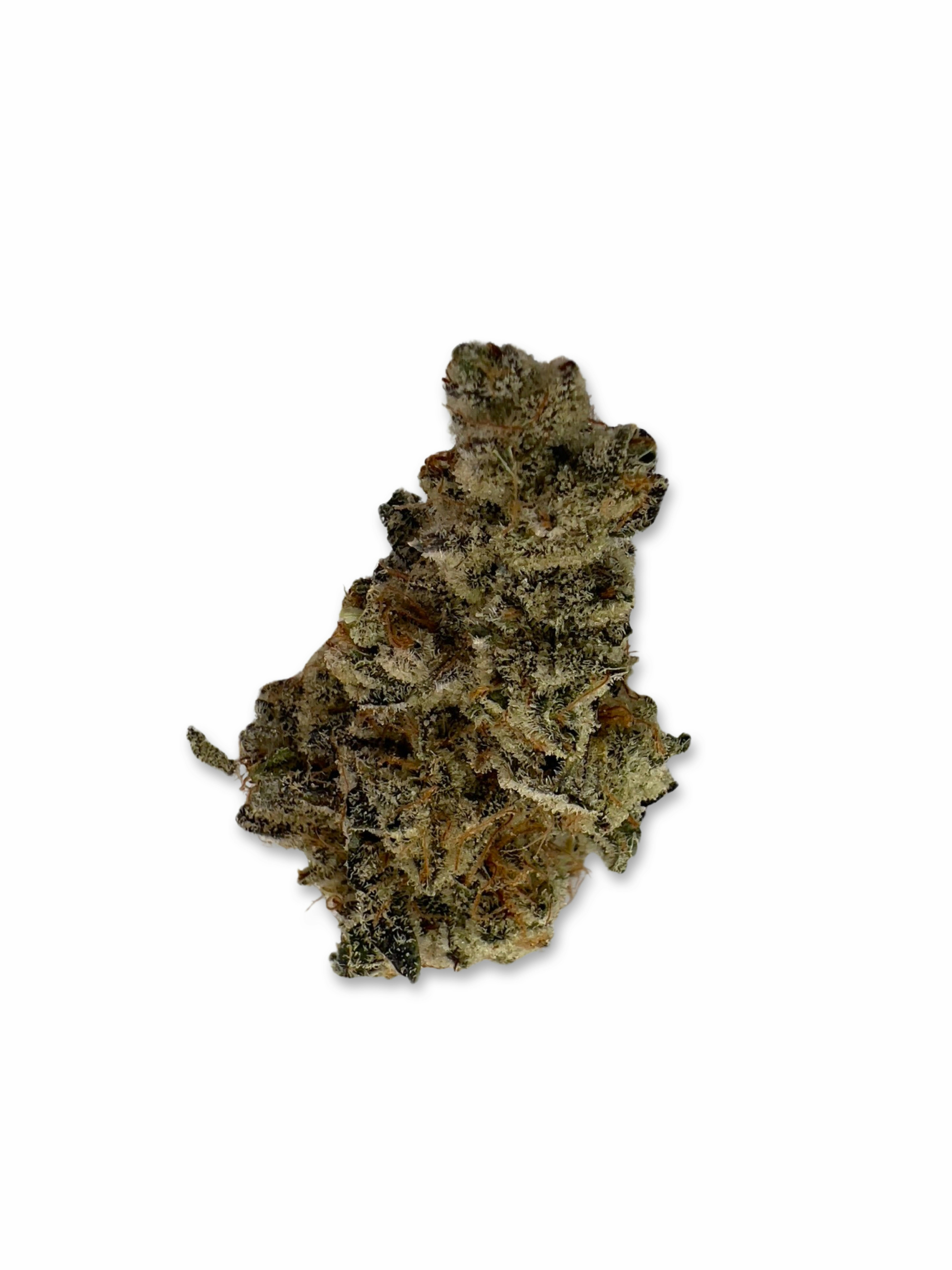East Coast Brunch - Fuzzy Roots Organics - image 1