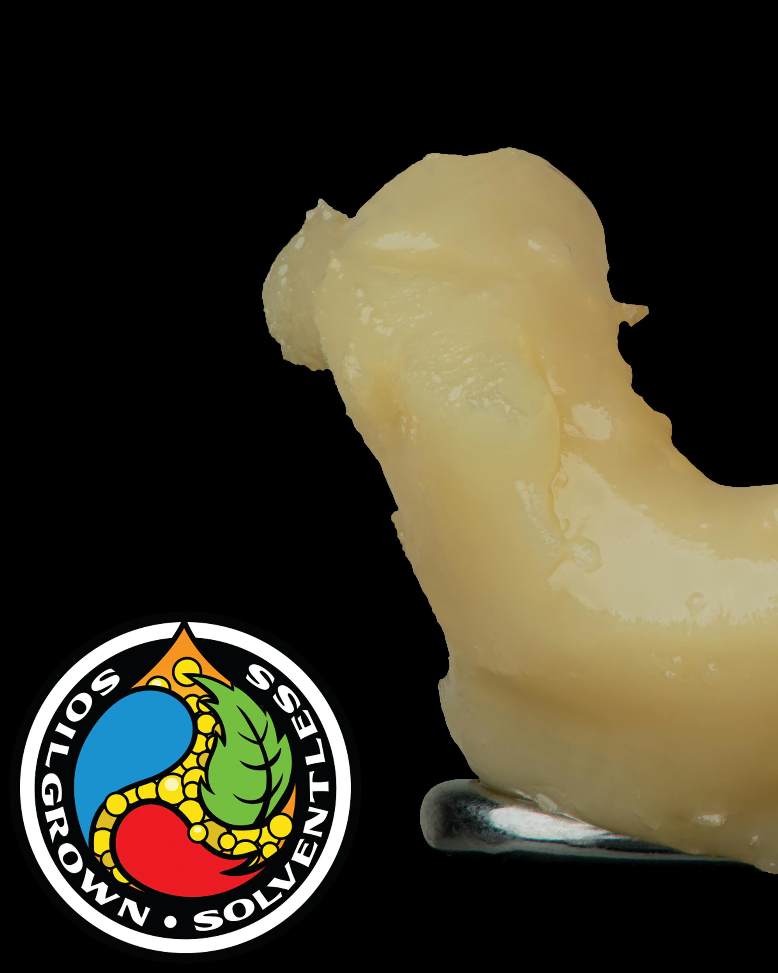 Orange Bang Indoor Live Rosin 149-90u Tier 1 - image 3