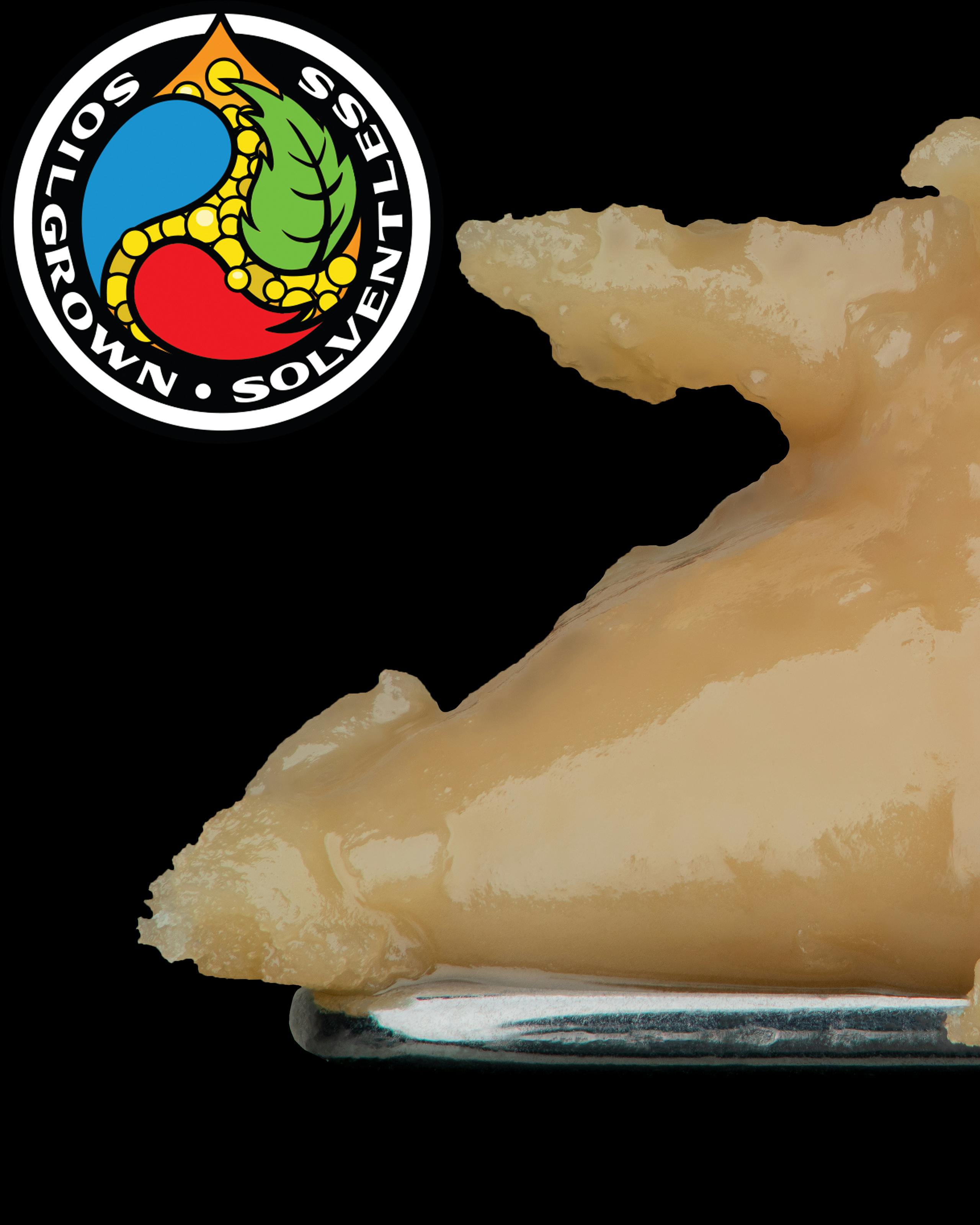 Garlic Cocktail Indoor Live Rosin 149-90u Tier 1 - image 3