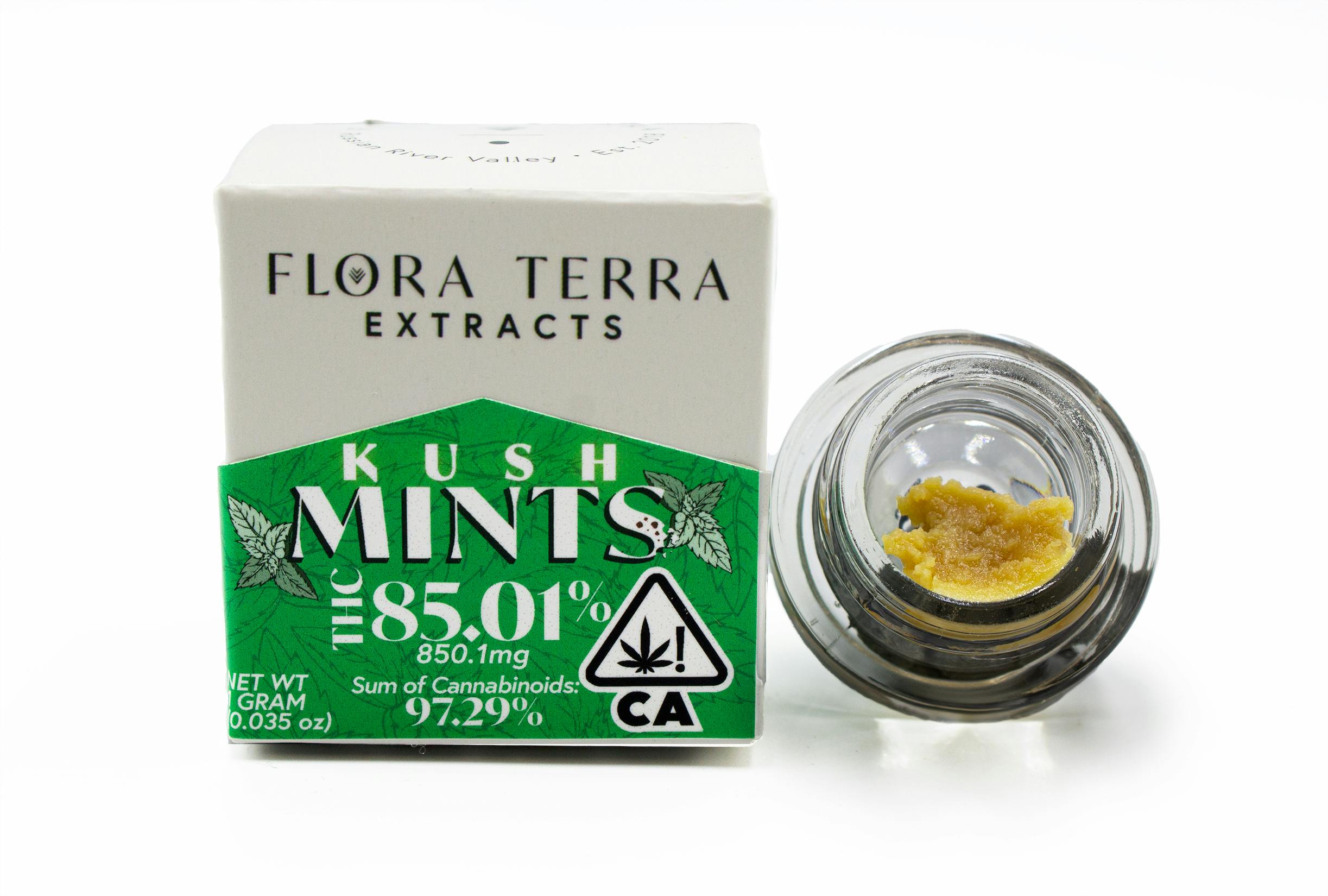 Flora Terra | Kush Mints | 1g Whipped Badder - image 1