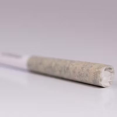 Crescendo 0.5g Deli Preroll - image 1