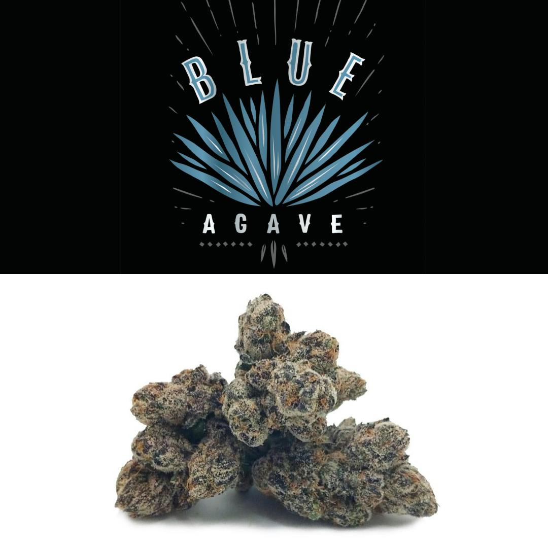 Blue Agave - image 2