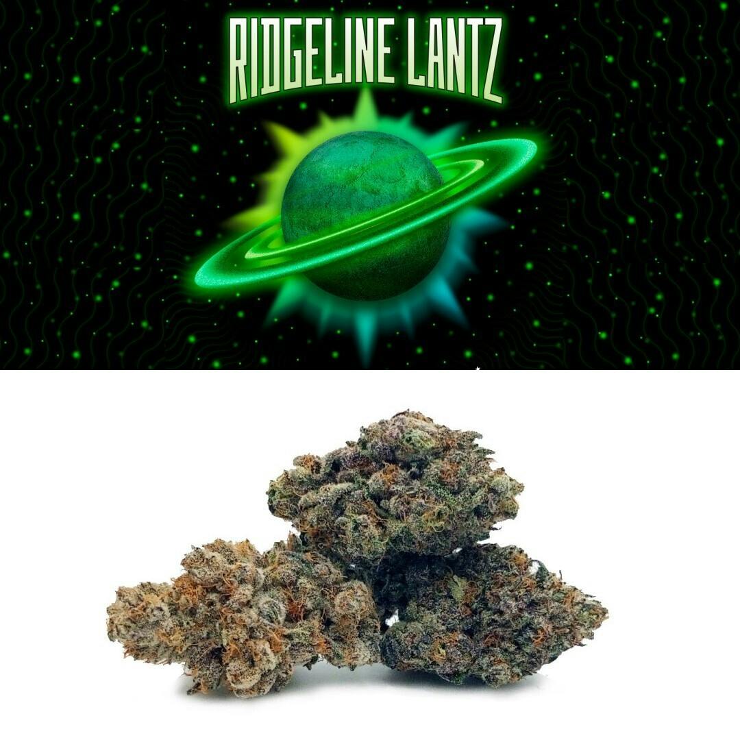 Ridgeline Lantz - image 2