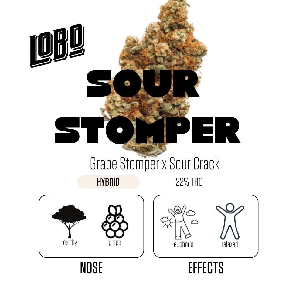 Lobo - Sour Stomper - 14g - image 1