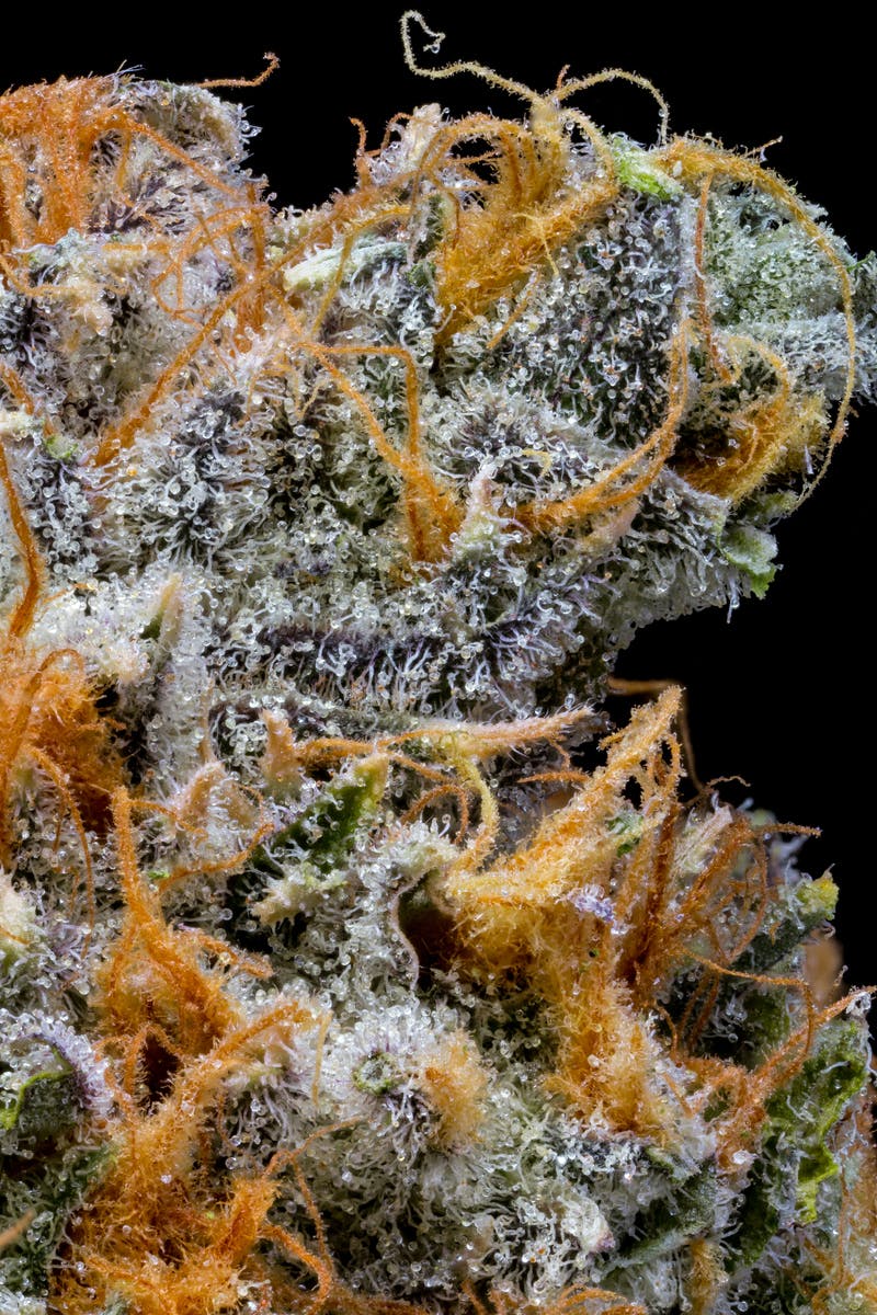 Crunch Berries Pre-Pack | 3.5g - image 5