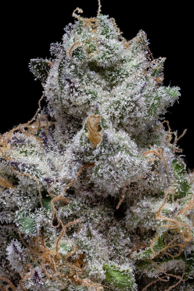 Secret Formula Pre-Pack | 3.5g - image 3