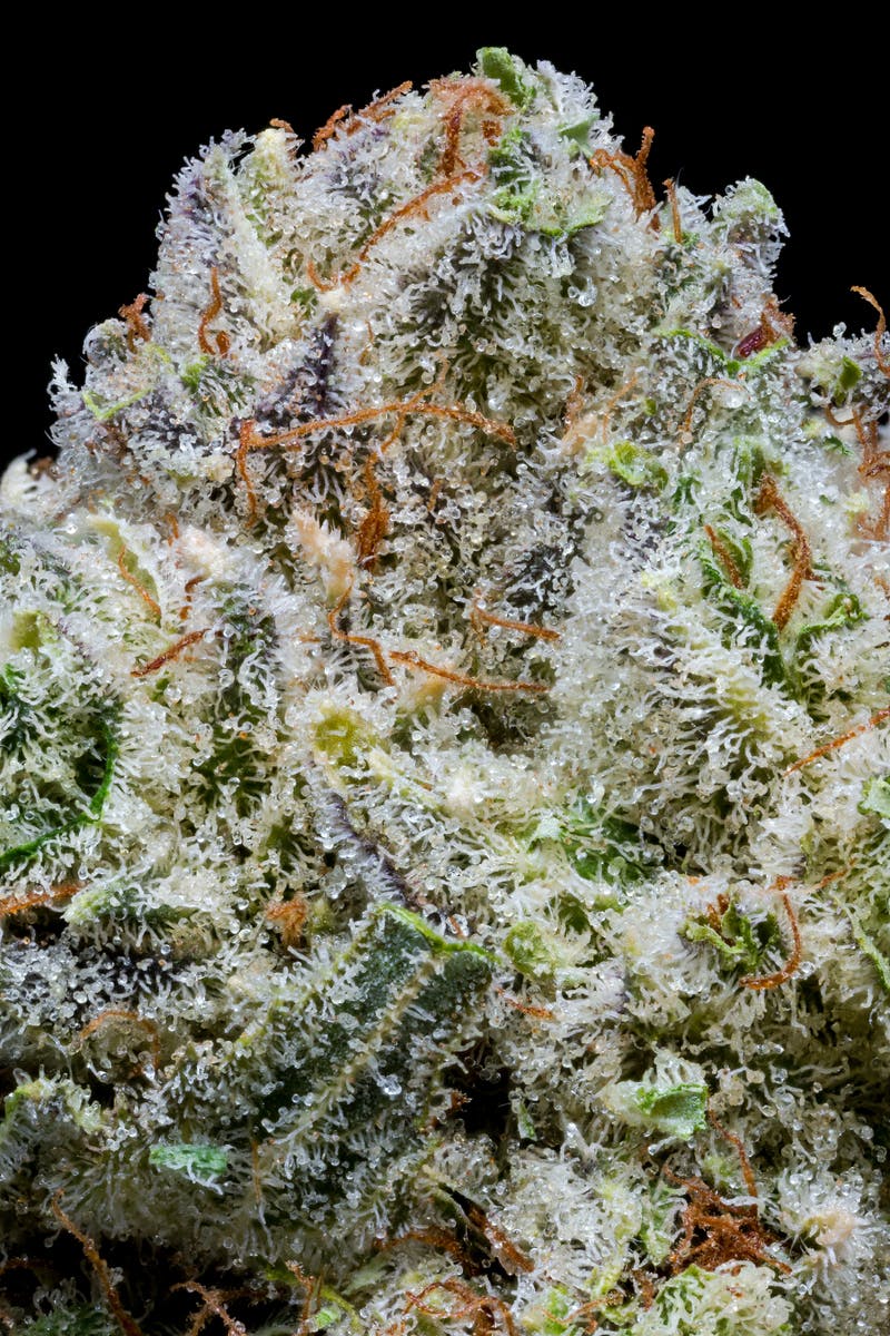Outlaw Glue - image 5