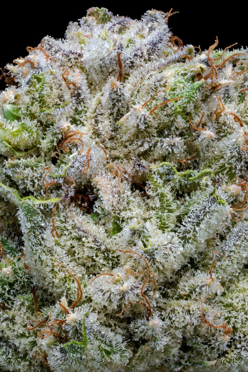 Outlaw Glue - image 3