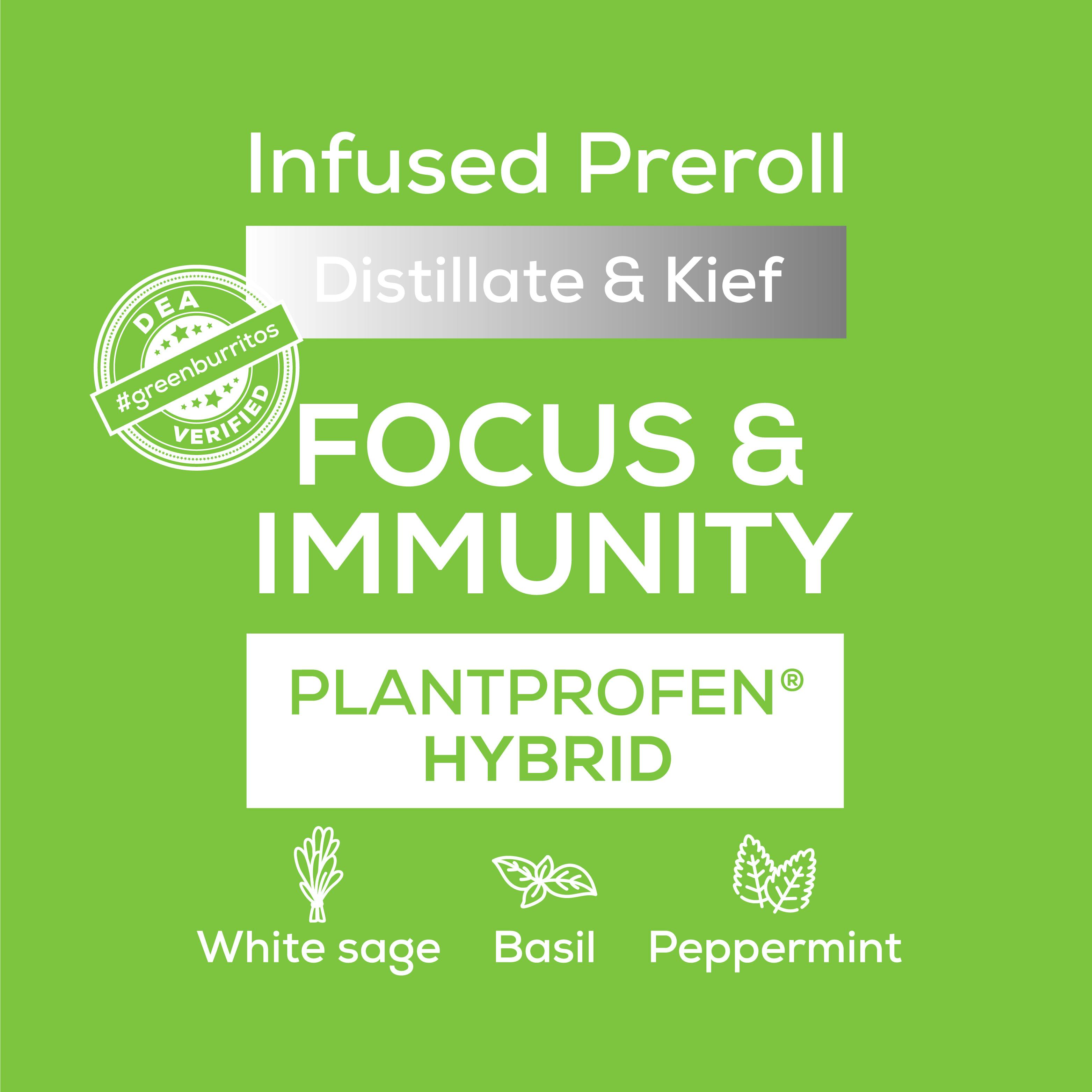 Green Burrito | Infused Pre-Roll 0.6g | Strawberry Watermelon - image 2