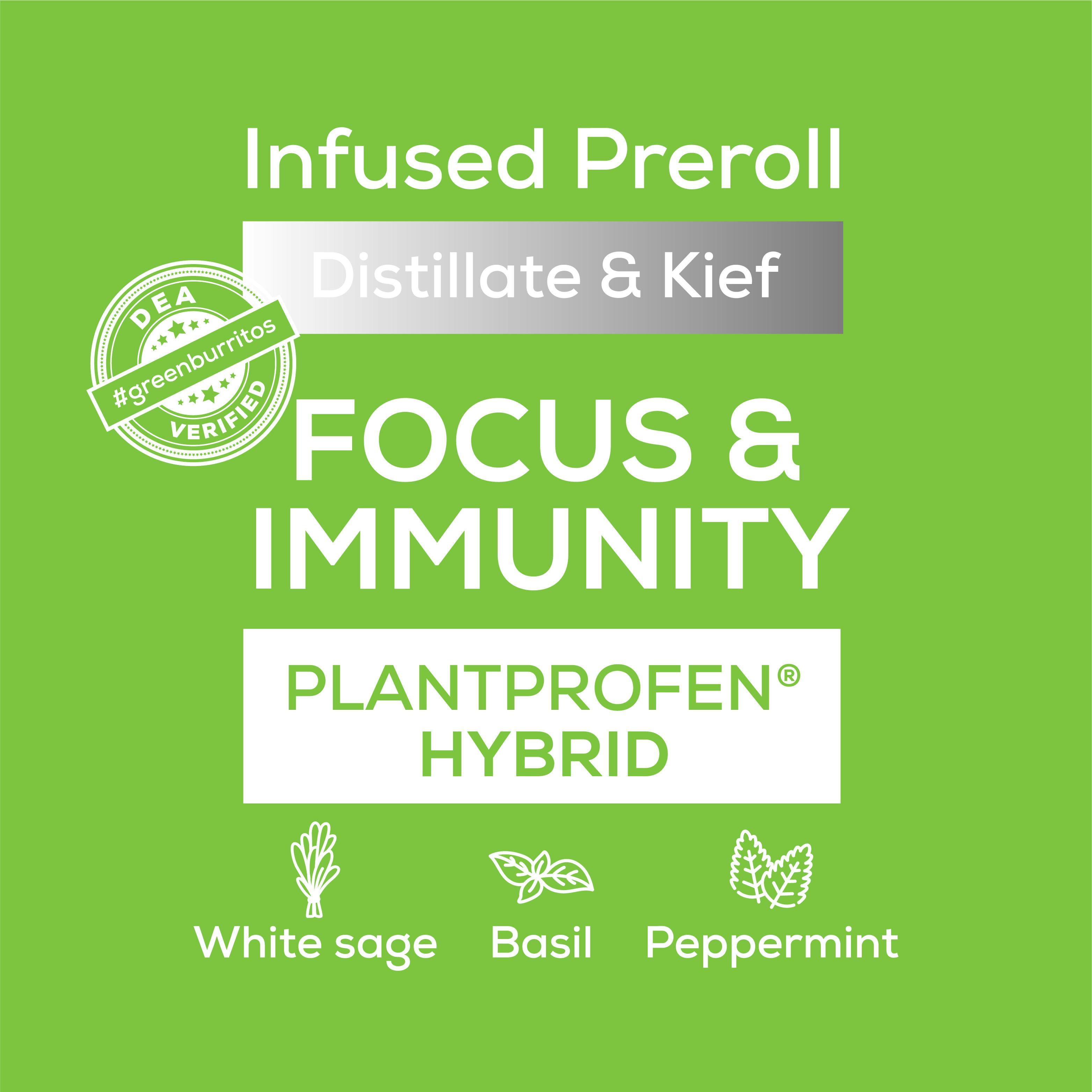 Green Burrito | Infused Pre-Roll 0.6g | Peppermint Mocha - image 2