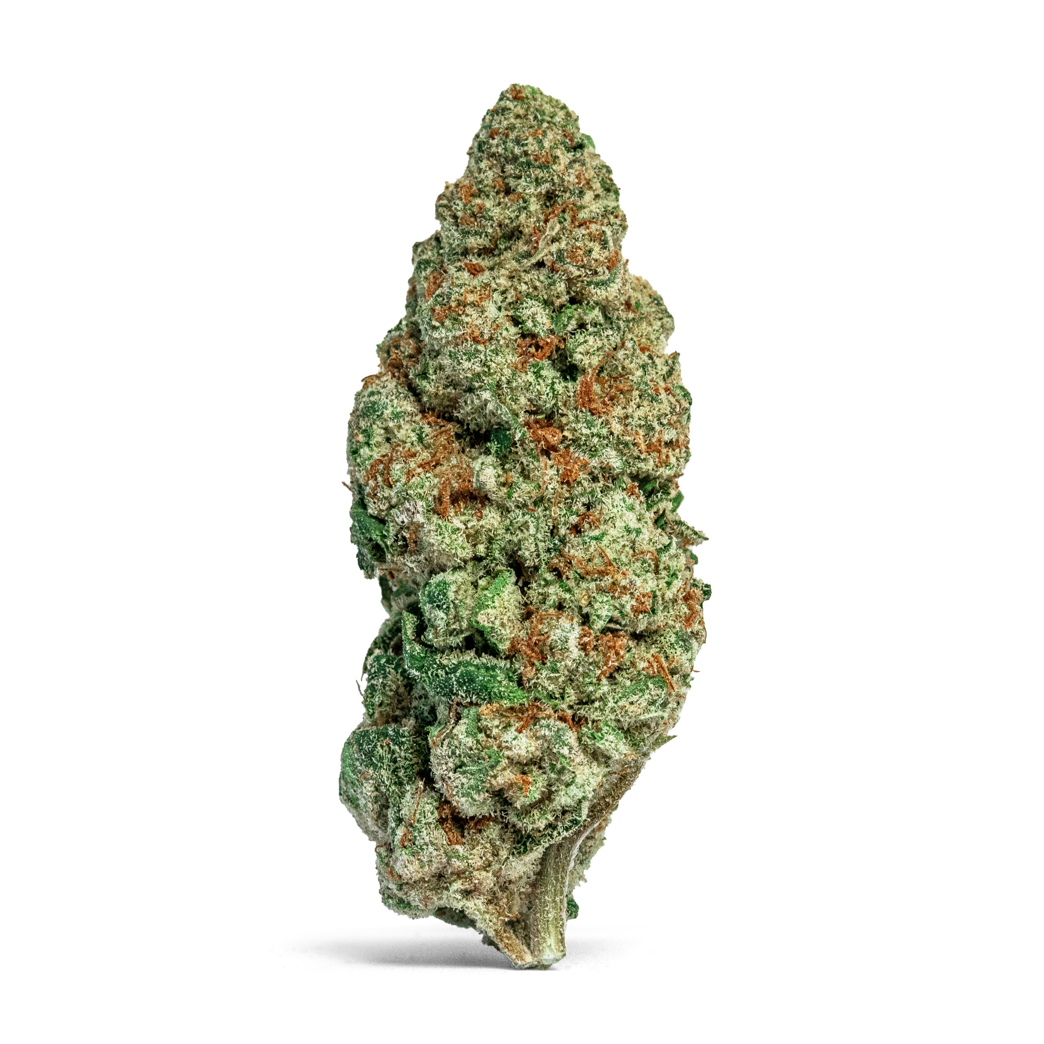 MR. ZIPS | Glitter Bomb | 28g Flower - image 2