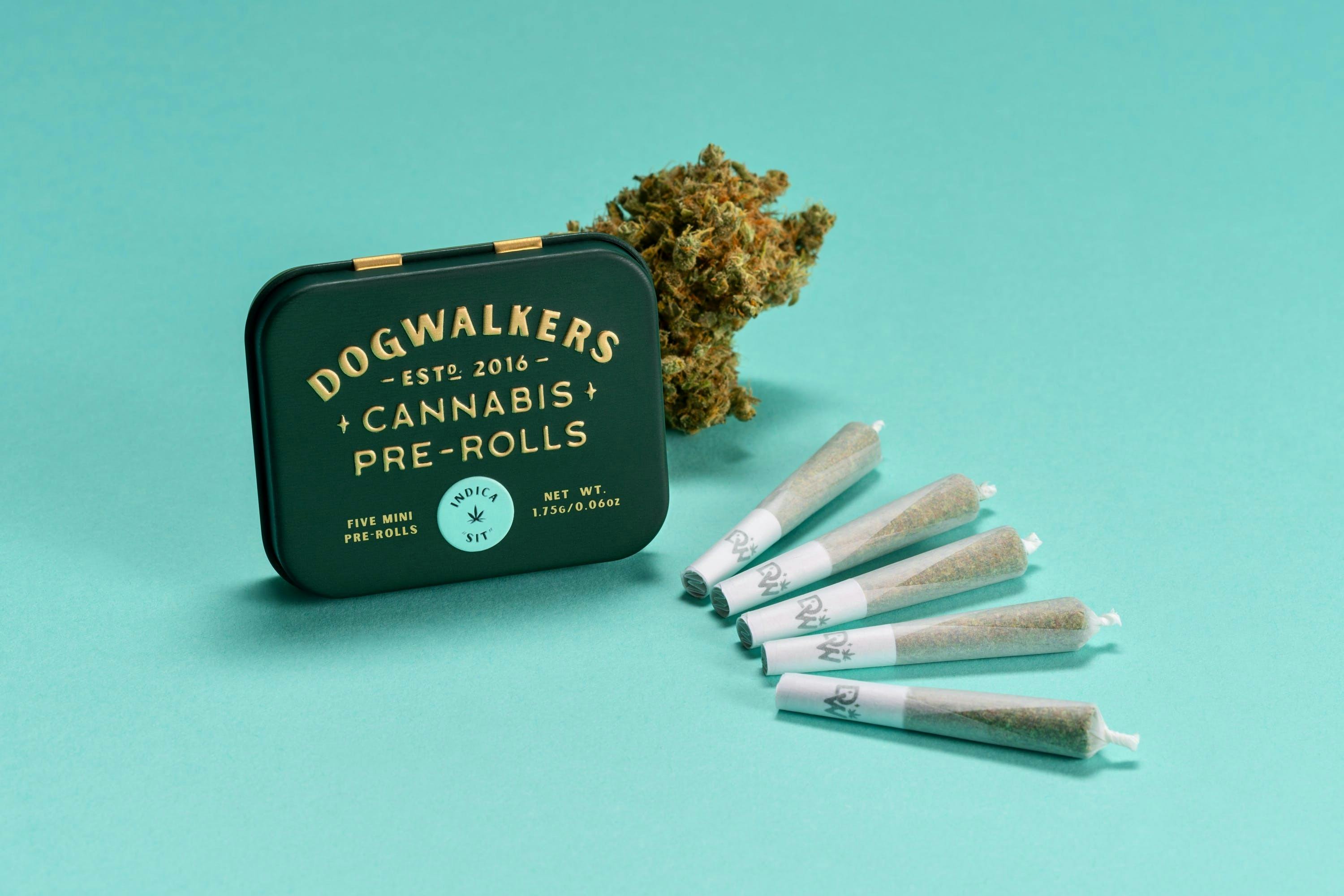 Dogwalkers Sit .35g Mini Dog Pre Rolls (12pk) | Brownie Scout - image 1