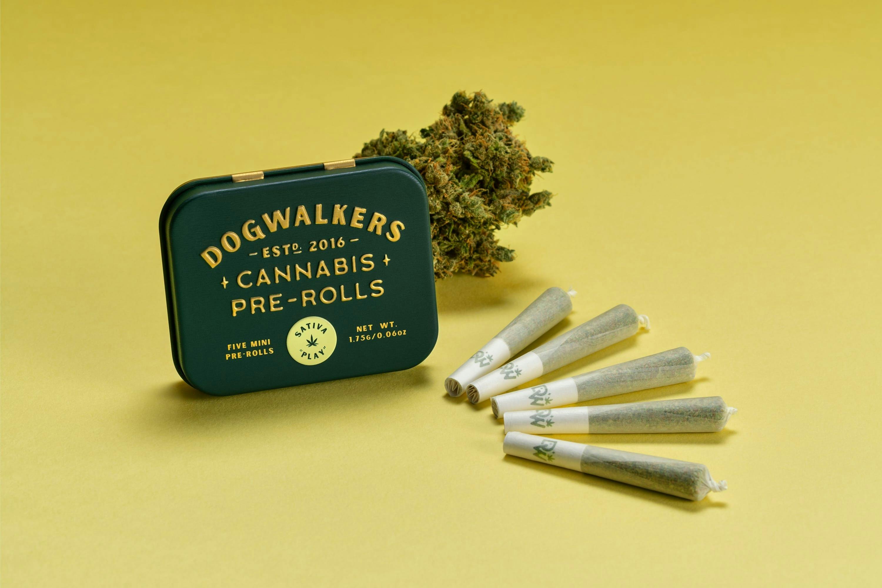 Dogwalkers Play .35g Mini Dog Pre Rolls (12pk) | Sour Joker - image 1