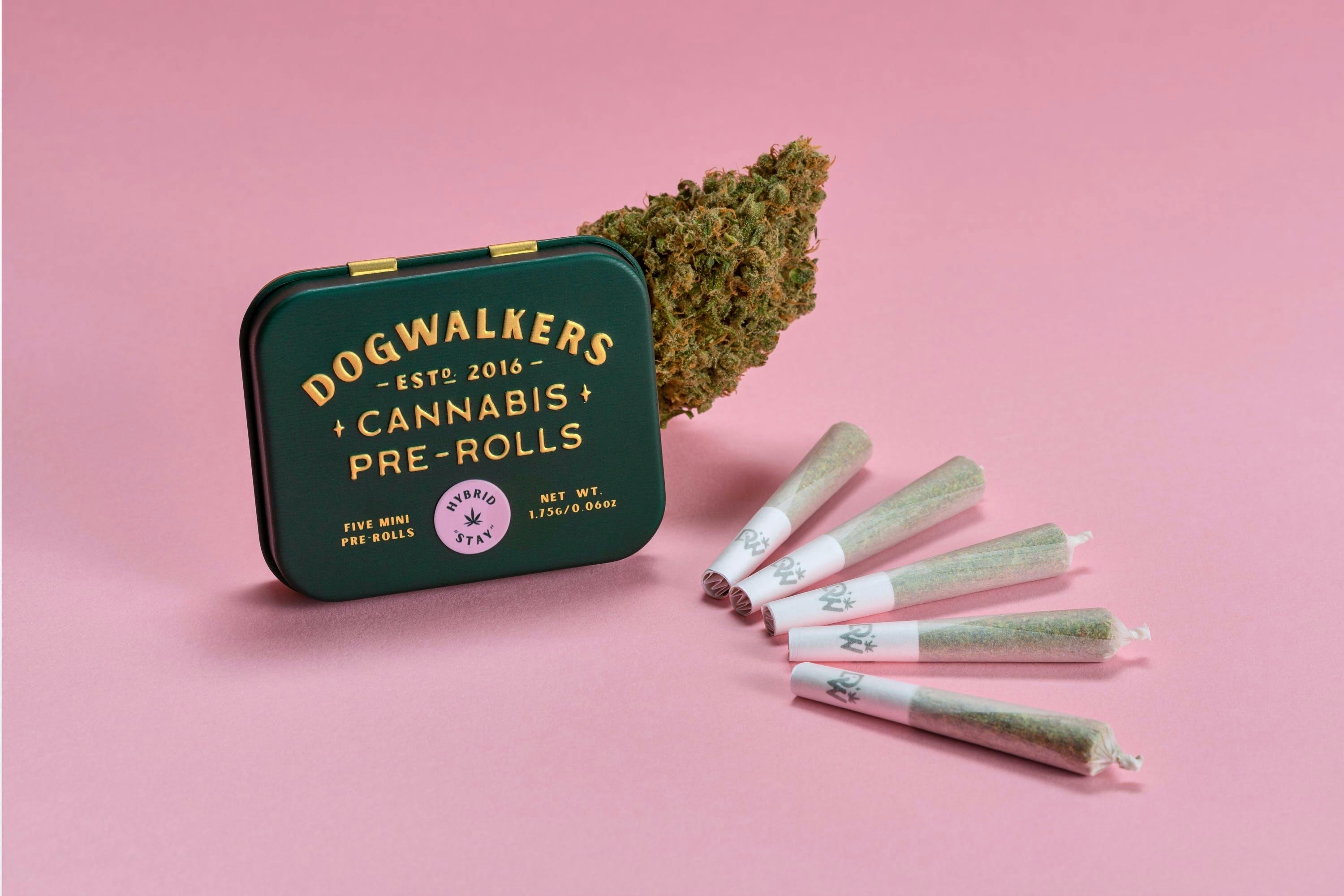 Dogwalkers Stay .35g Mini Dog Pre Rolls (12pk) | Margy Mints - image 1