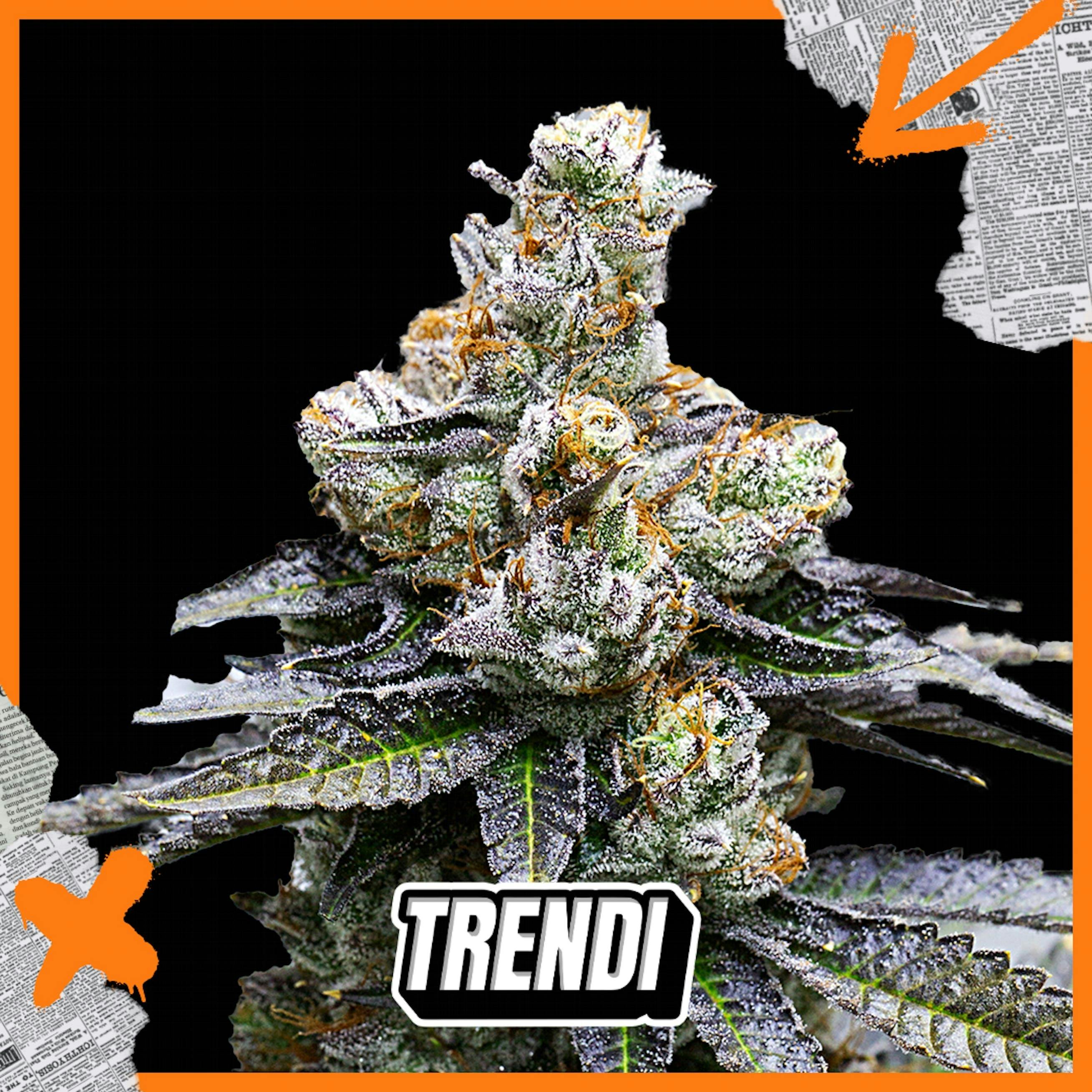 KOC Face on Fire #9 Prepack | 3.5g - image 1