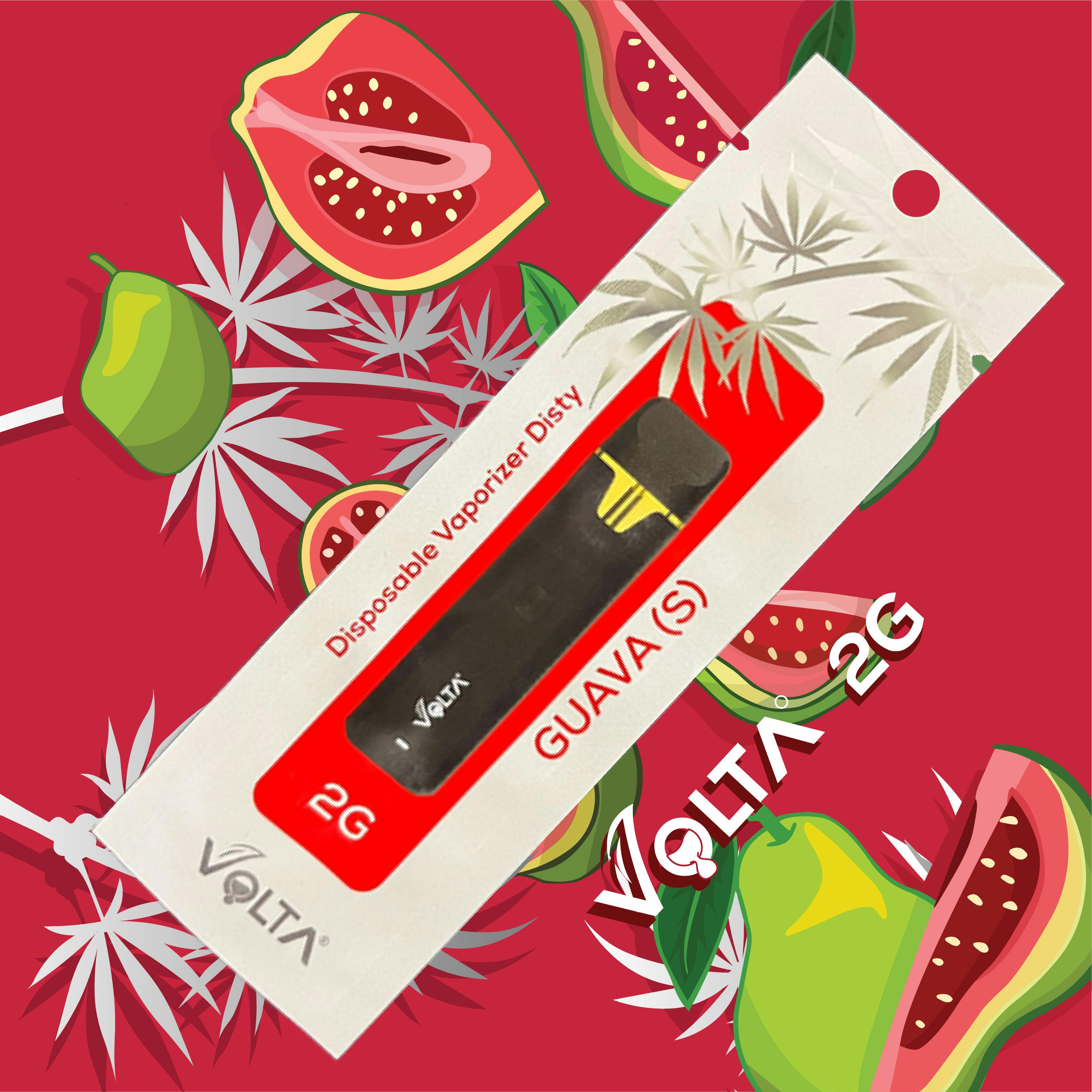 2G Disposable Vaporizer | Anticlog Dual Airflow | Guava - image 1