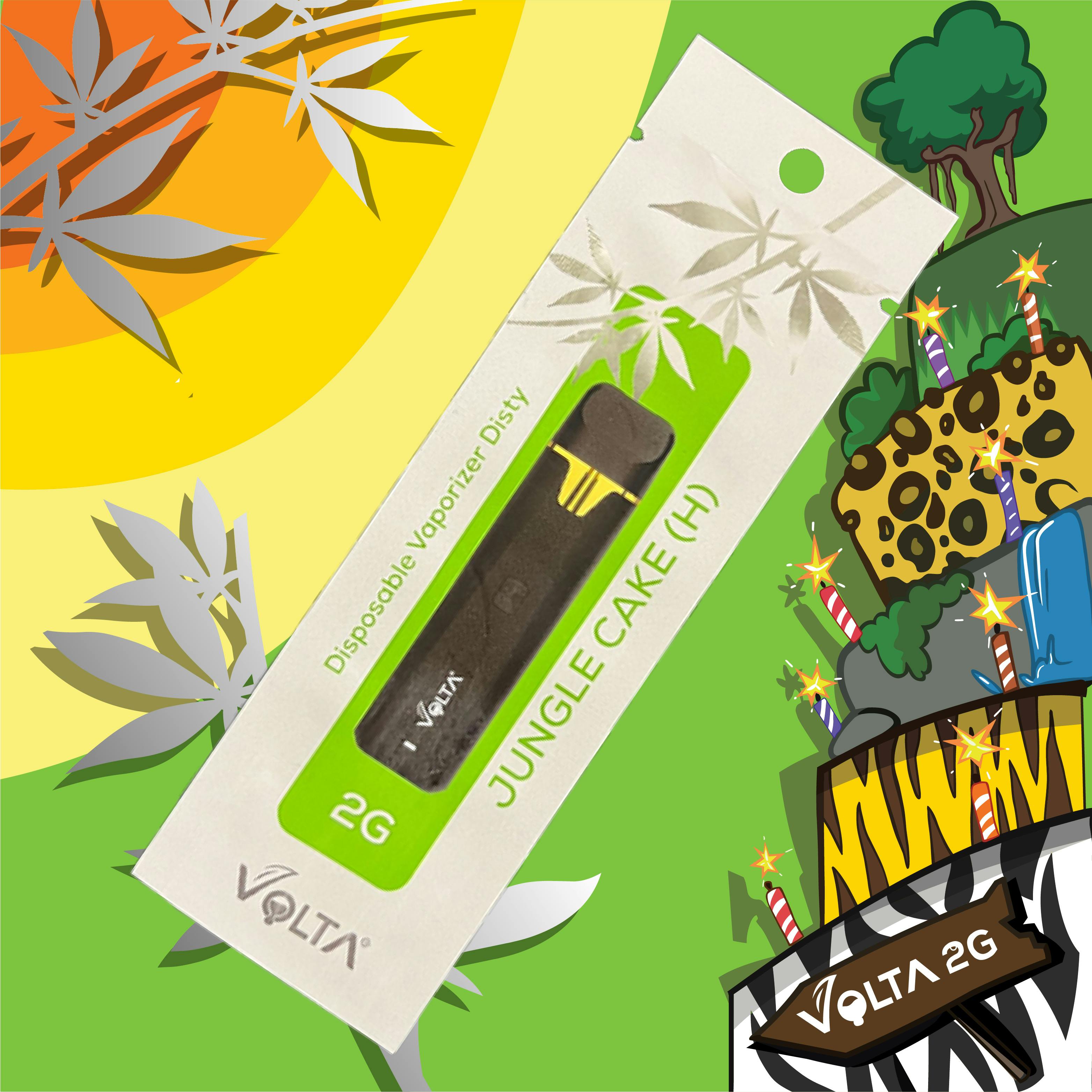2G Disposable Vaporizer | Anticlog Dual Airflow | Jungle Cake - image 1