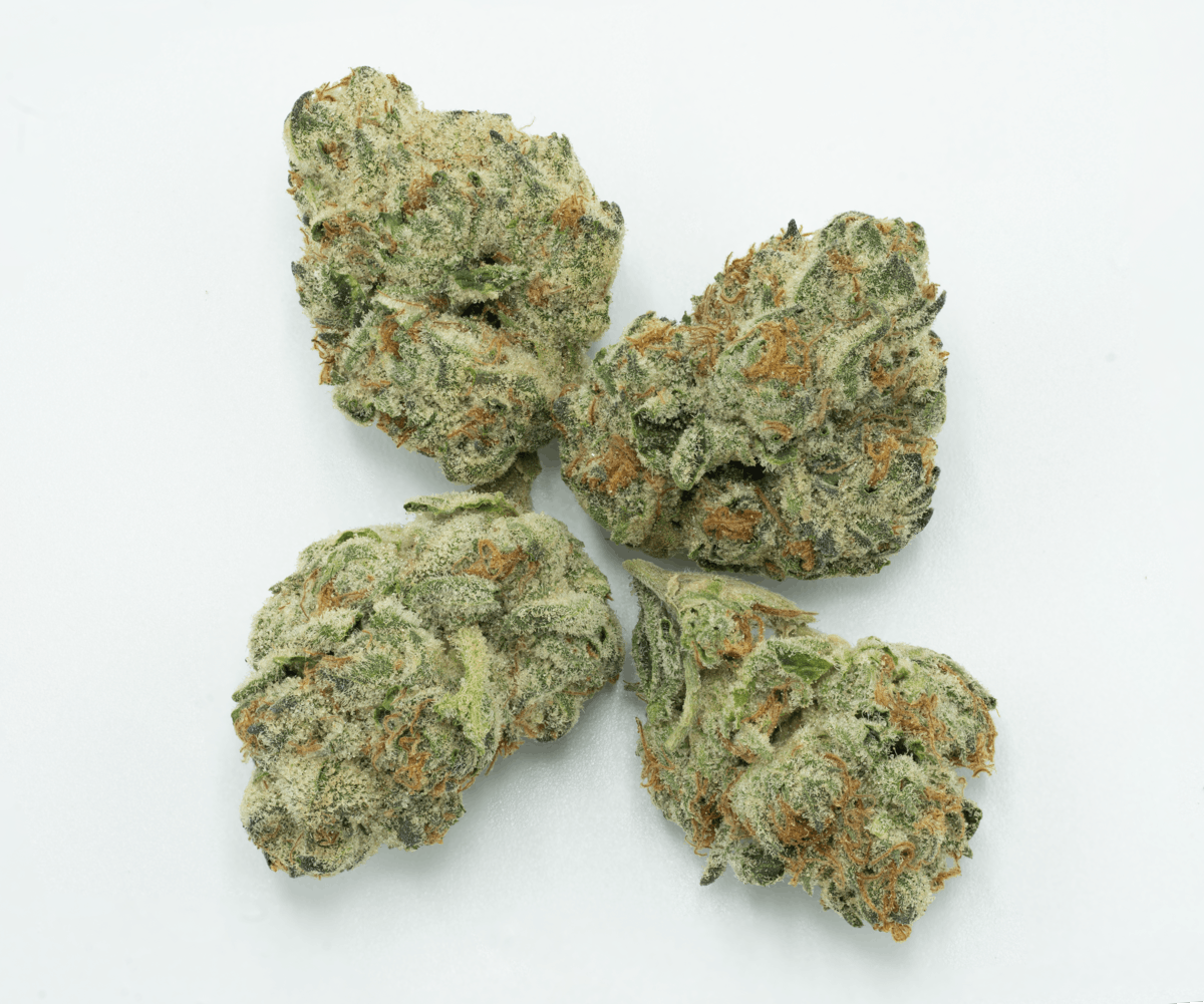 Dovetail | Caramel Apple Tartz Sativa (7g) - image 2