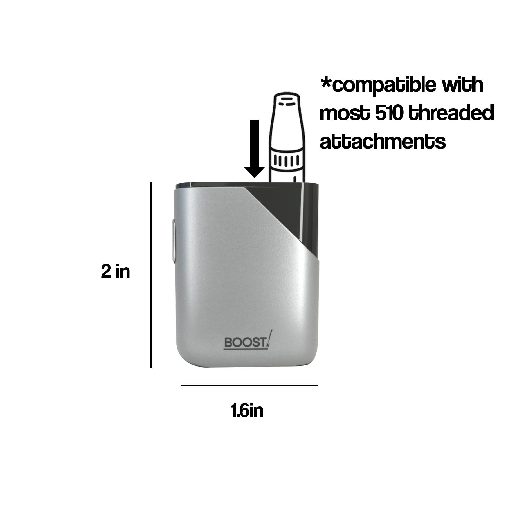 Boost! - Palm Battery - Platinum - image 4