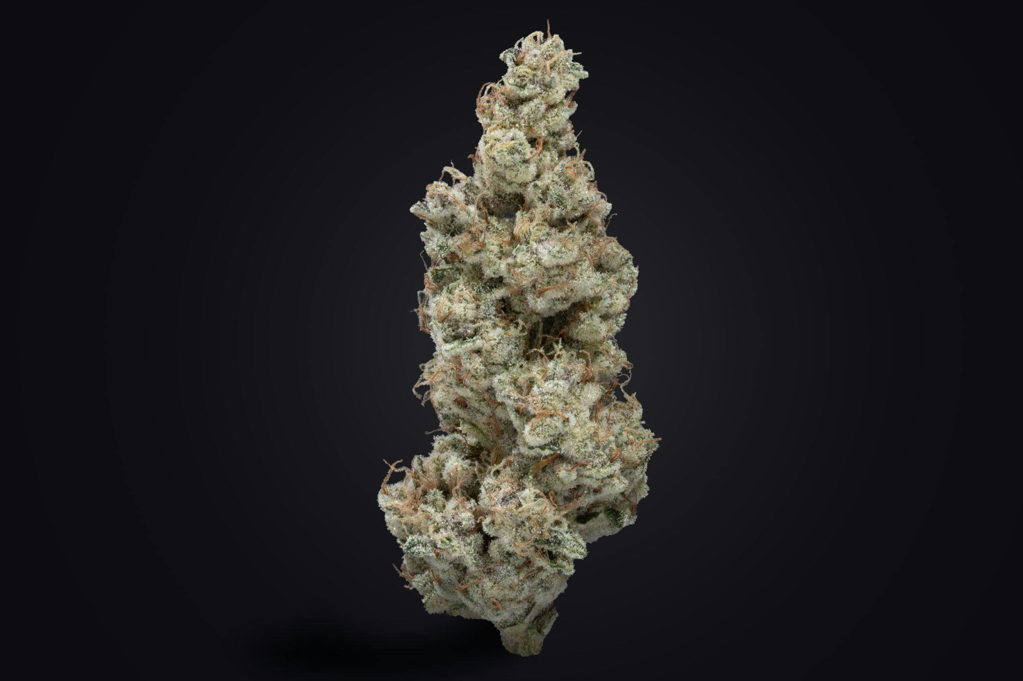 Pitted Cherry - image 2