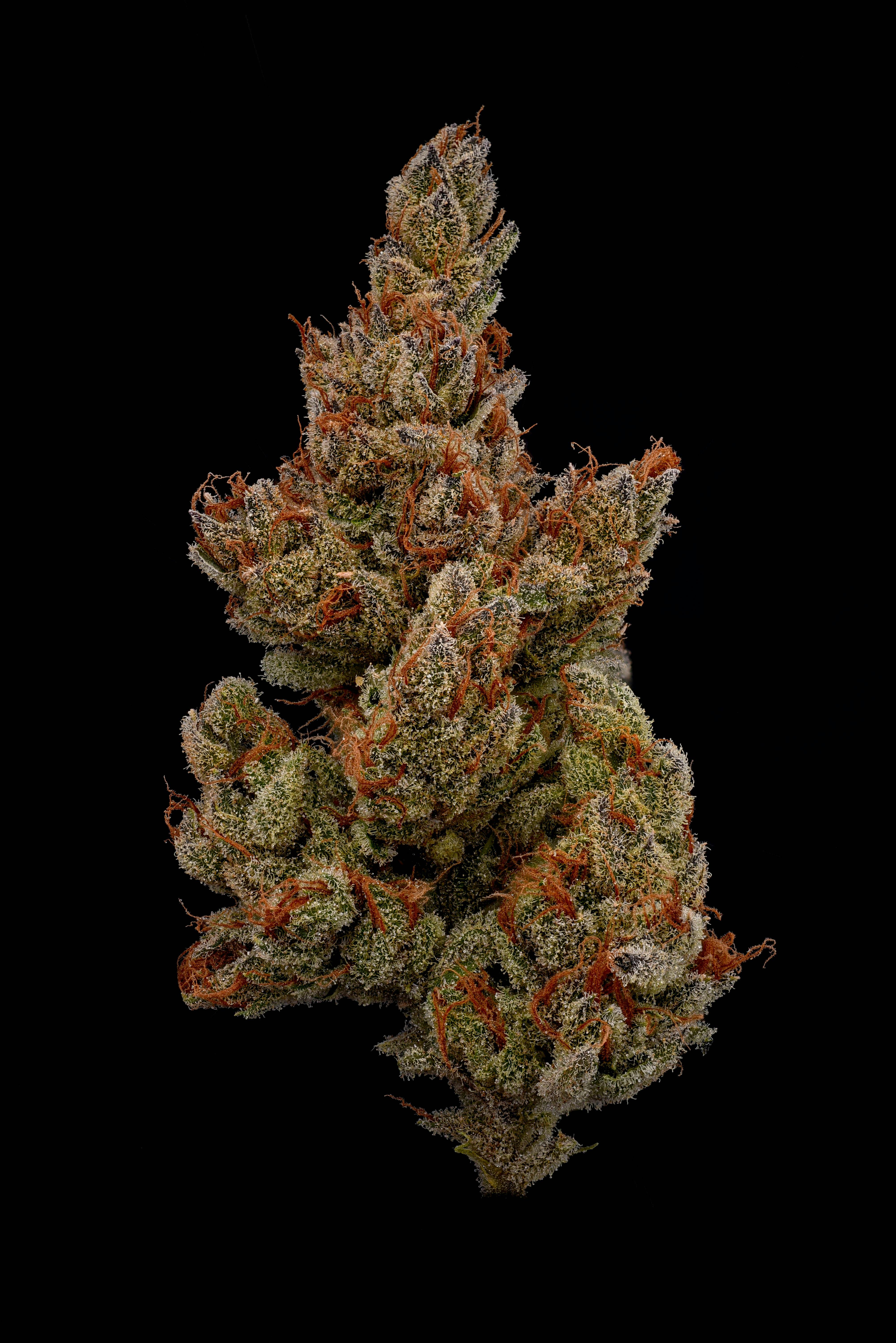 Super Starfruit - image 1