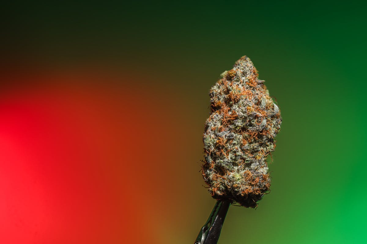 Grease Monkey - image 1