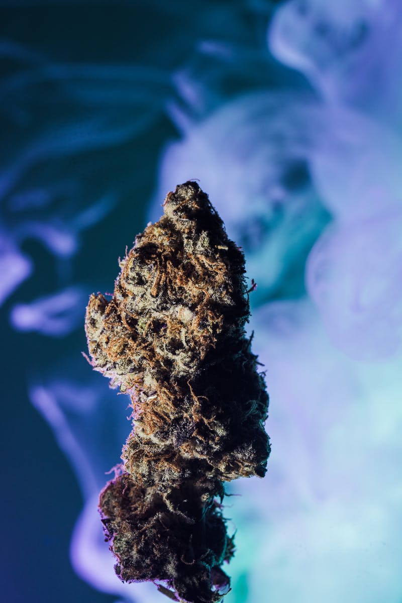 Kush Mints - image 1