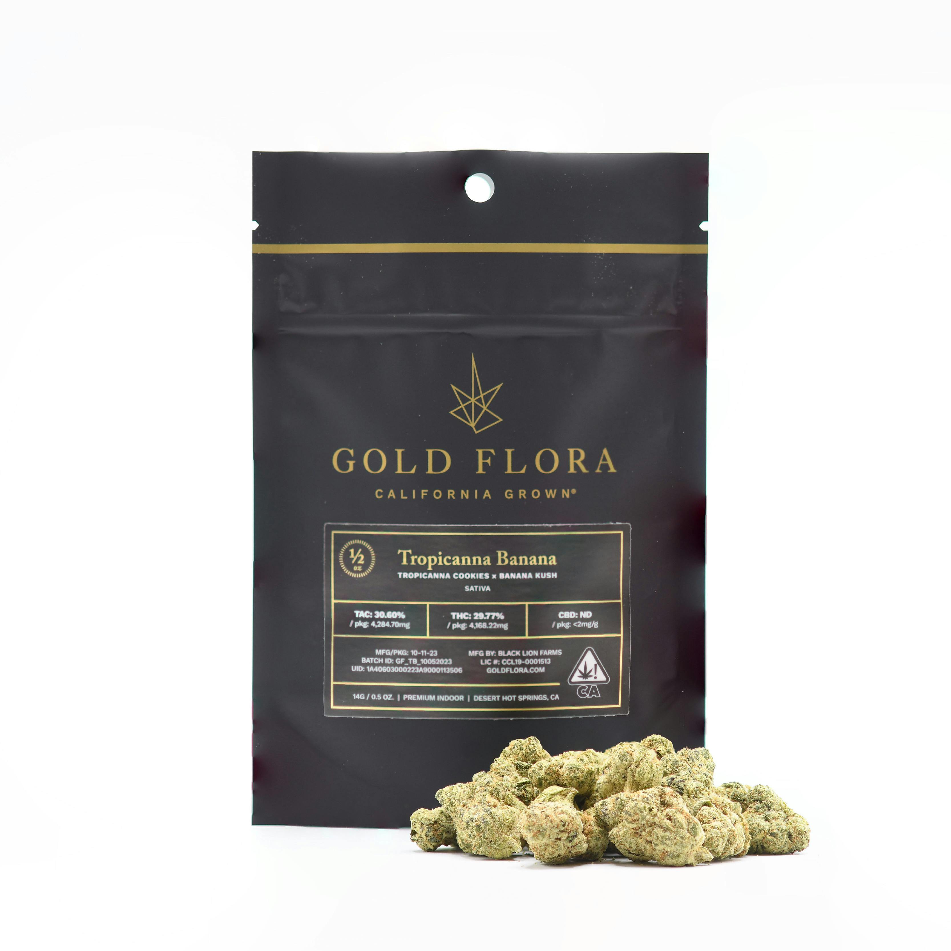 Tropicanna Banana 14g Flower - image 1