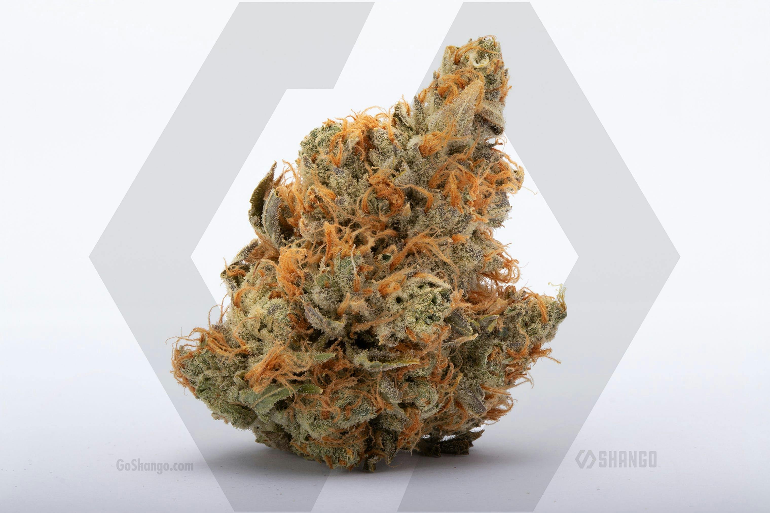 I95 Chem 1/4 - image 1