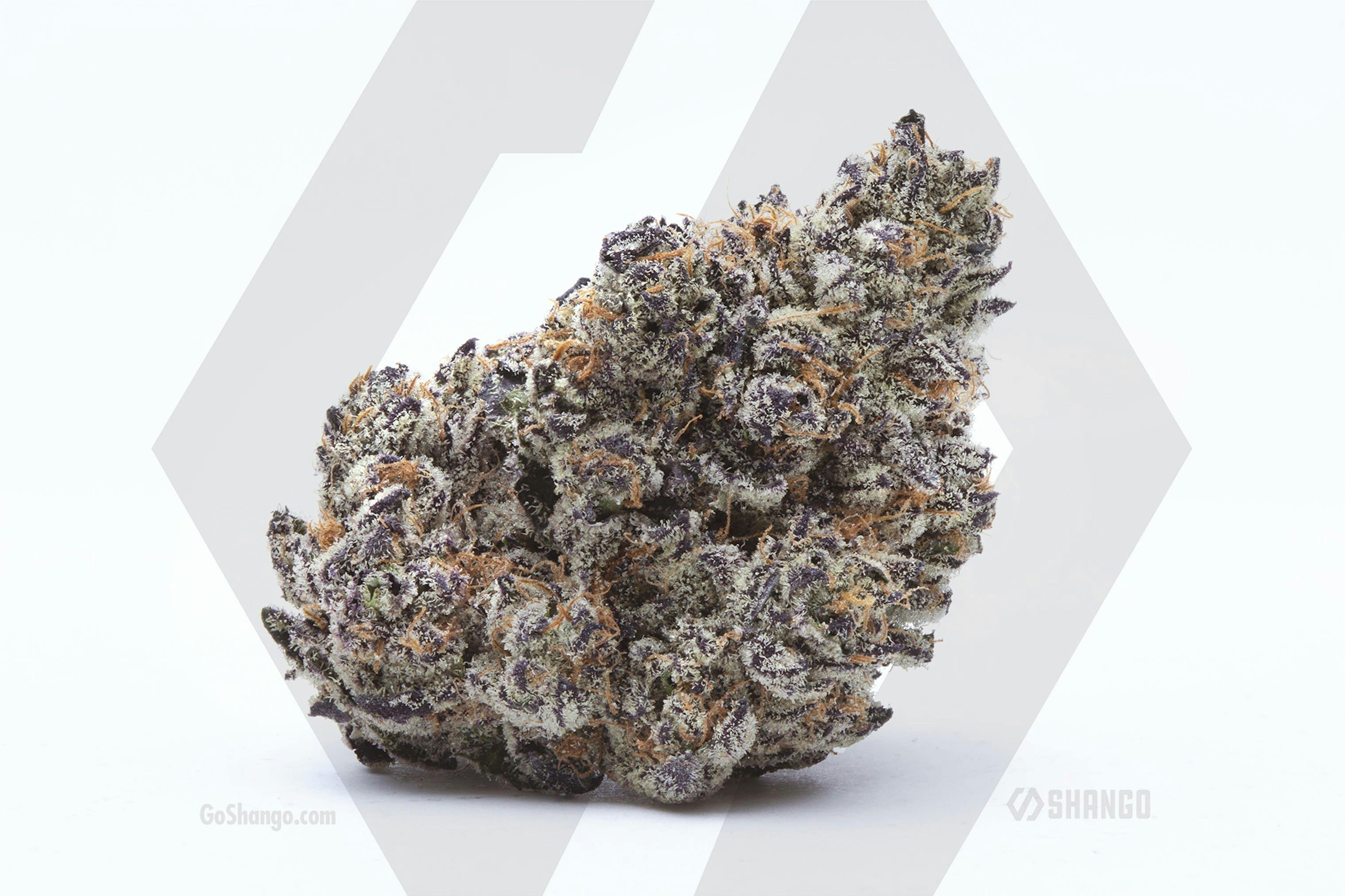 Ice Cream Cake 1/8 - image 1