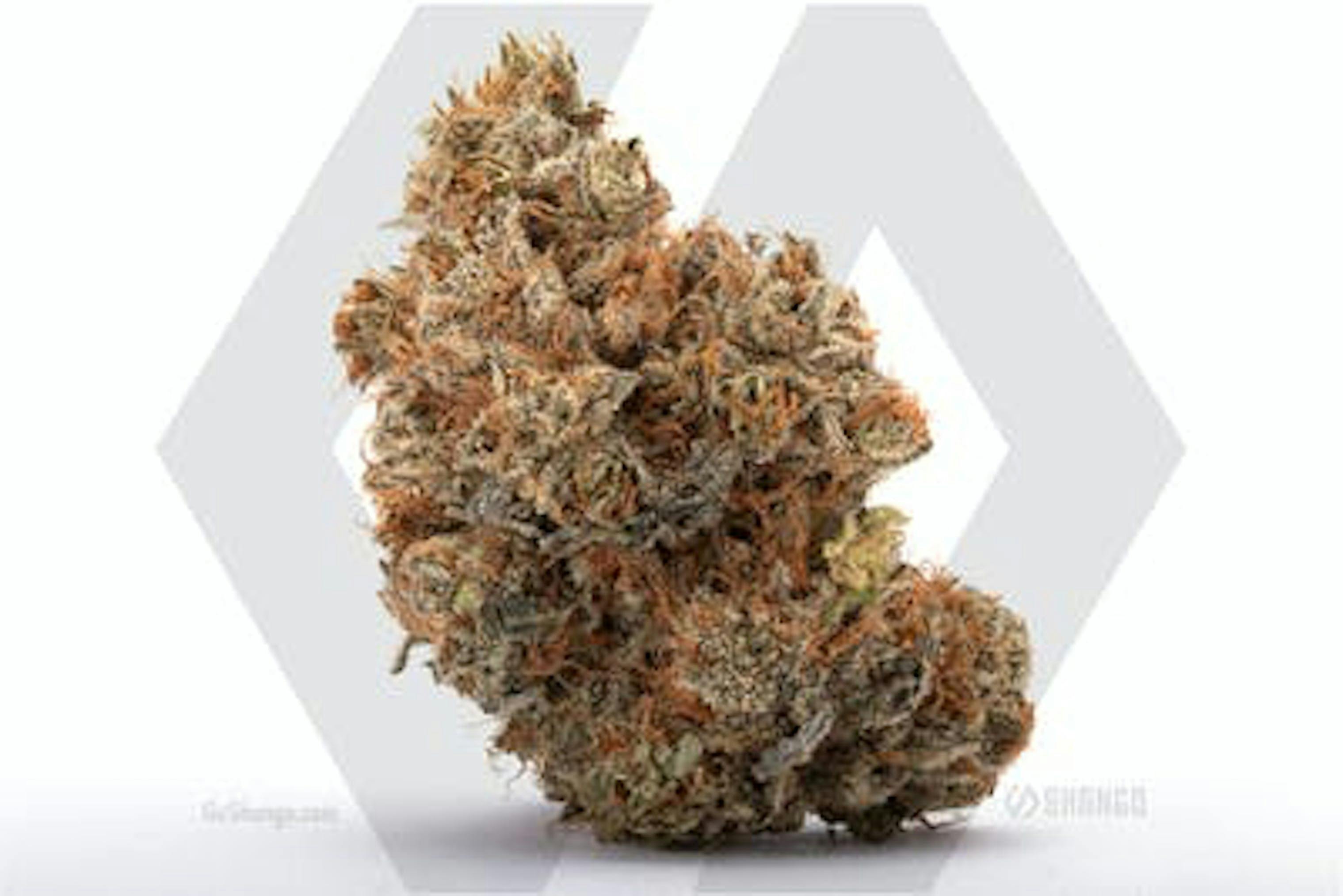 Tahoe OG 1/8 - image 1