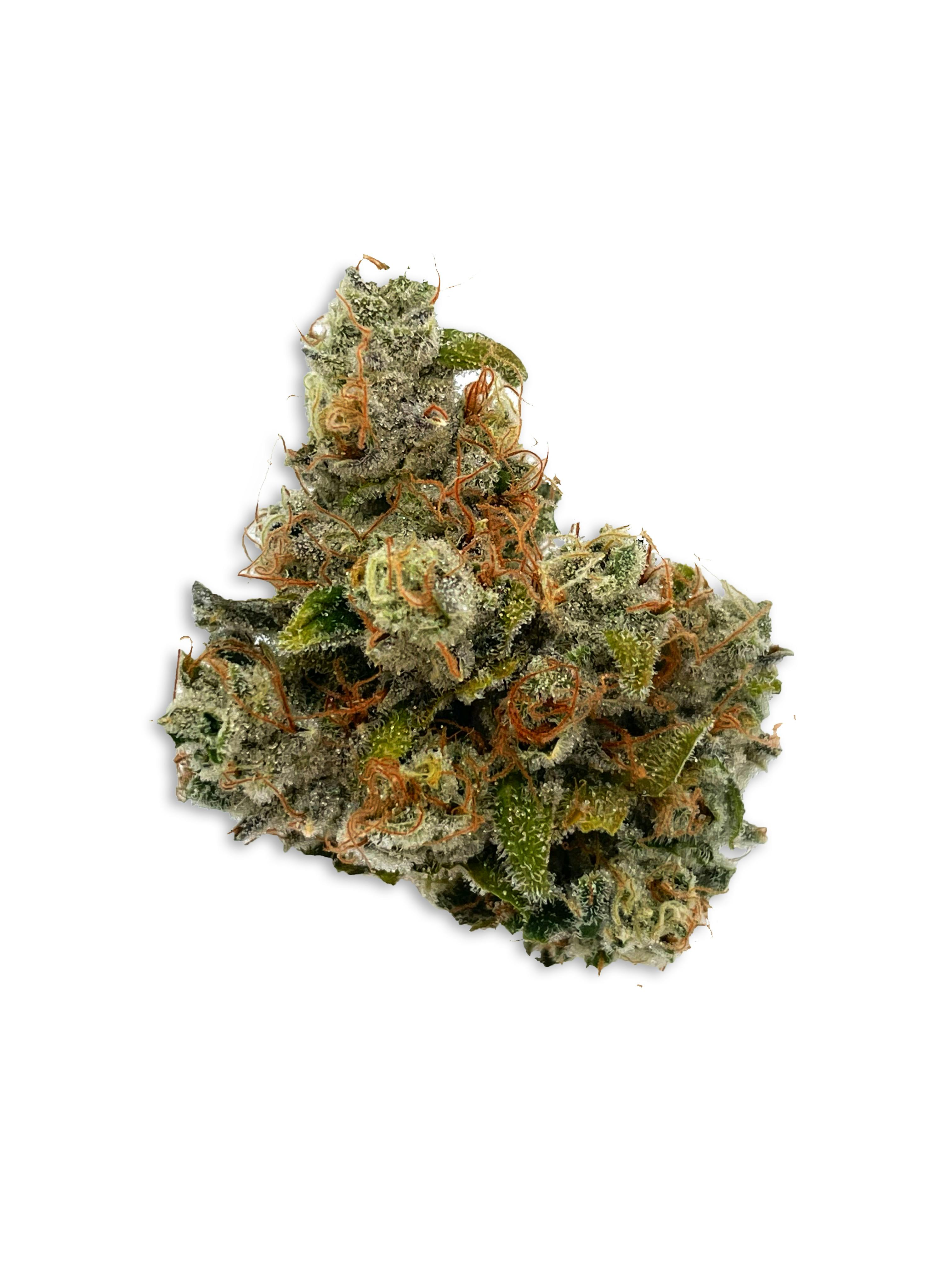 Natural Gas Flower - image 1
