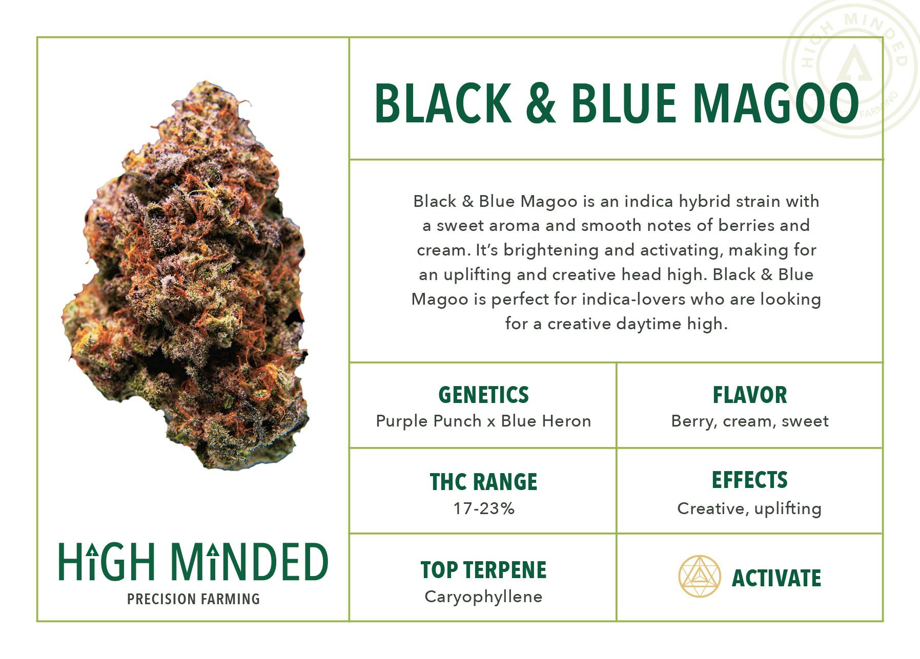 Black & Blue Magoo - image 1