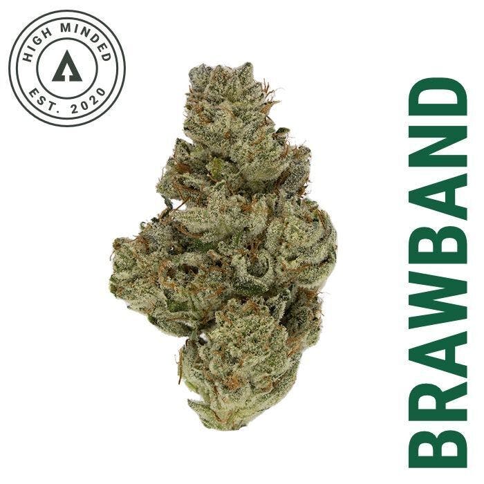 Brawband - image 1