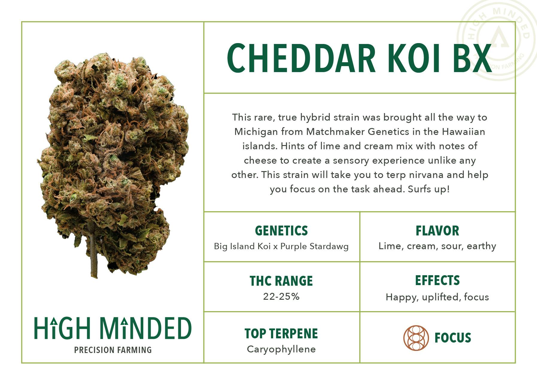 Cheddar Koi - image 2